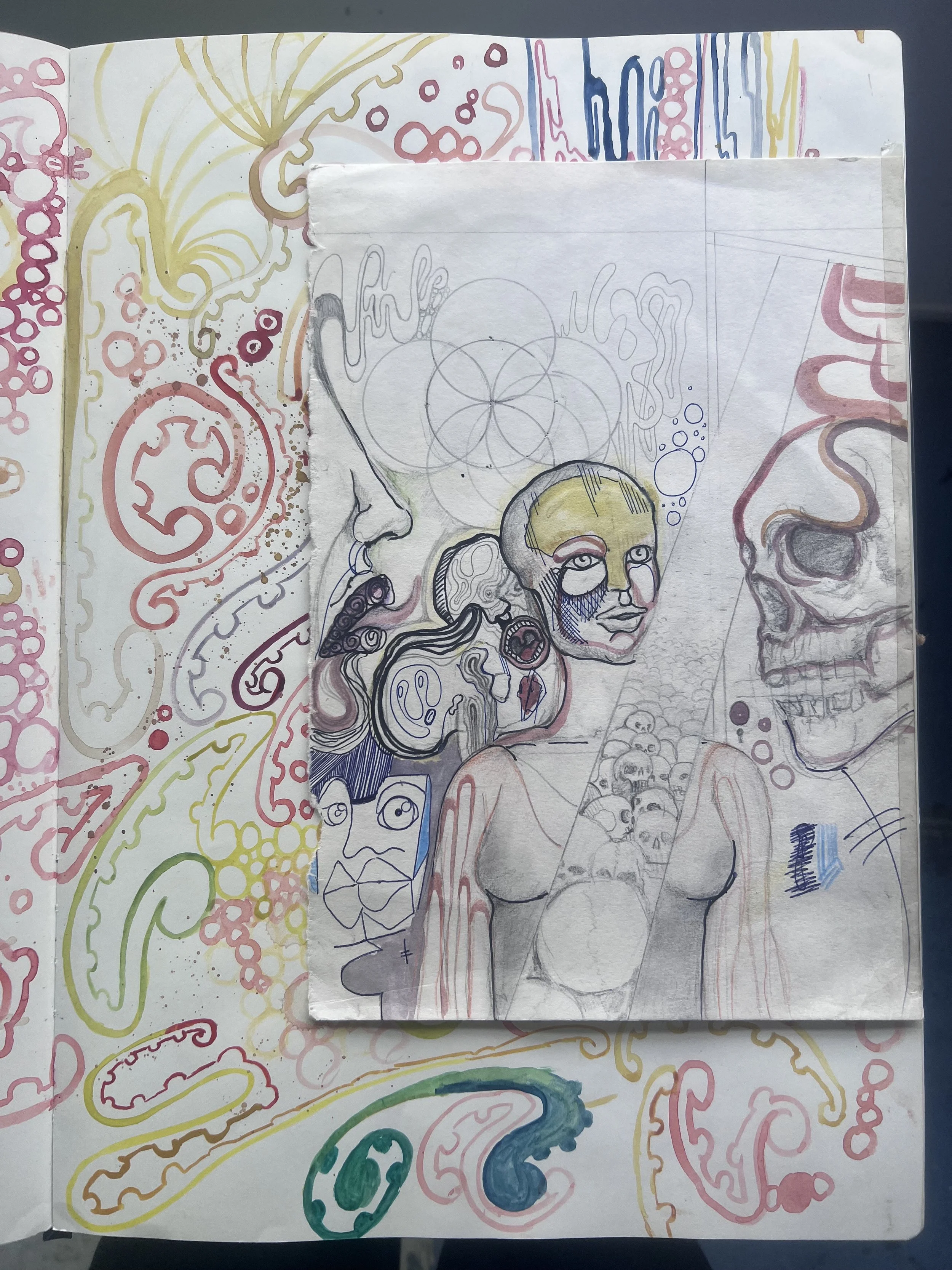 IMG_1161.jpeg