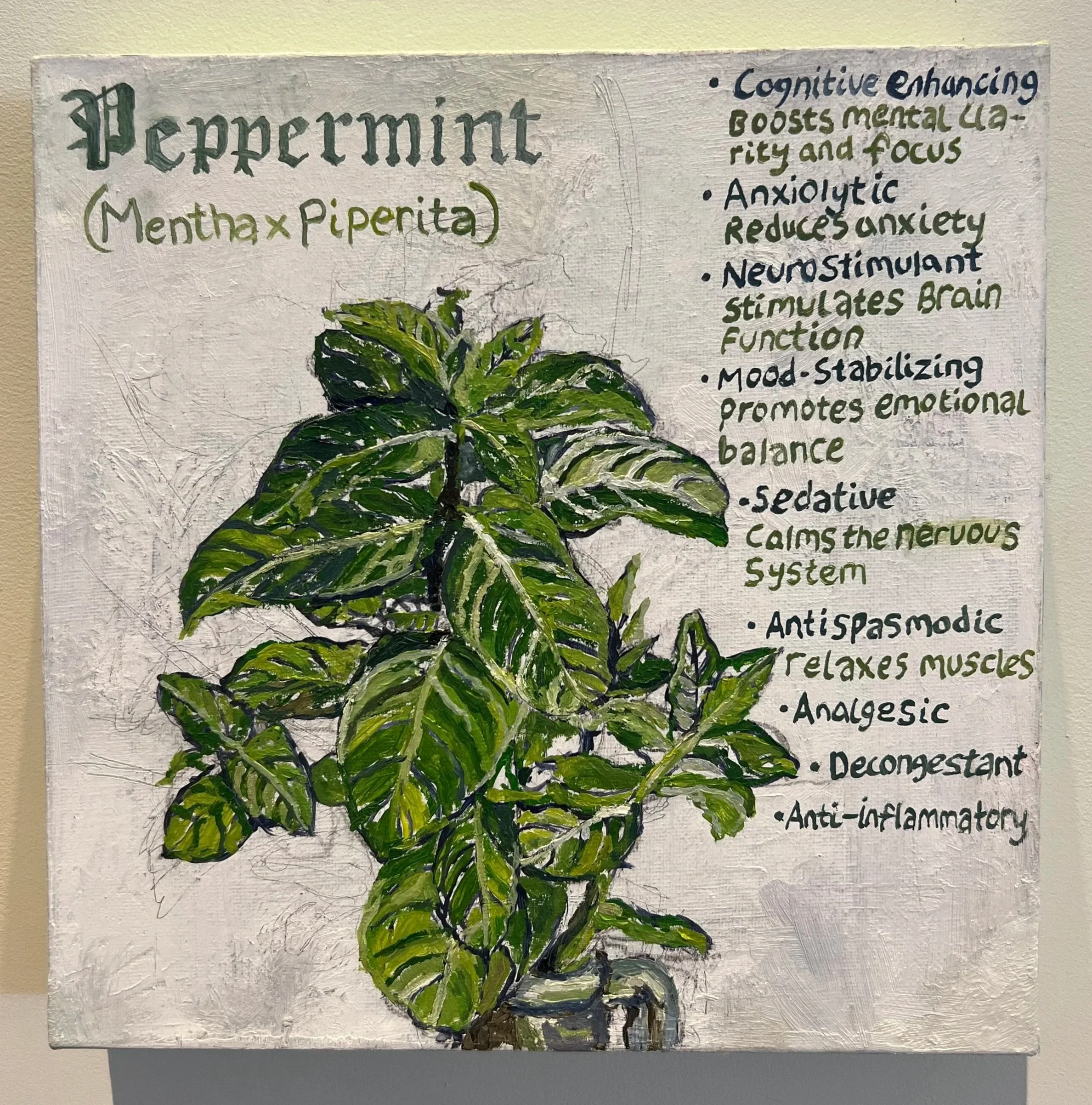  PEPPERMINT, study (12/200) 
