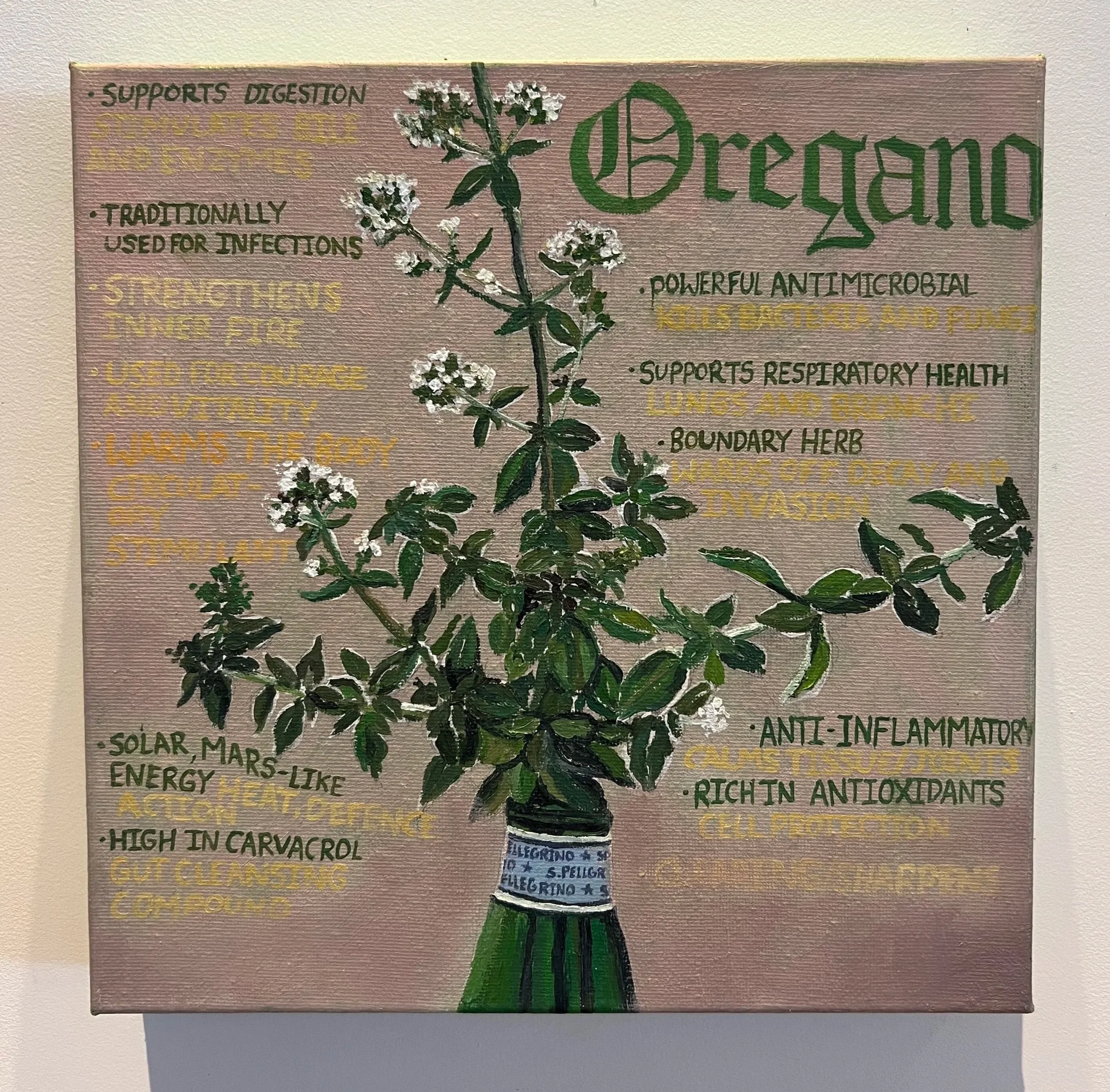 OREGANO, (20/200)