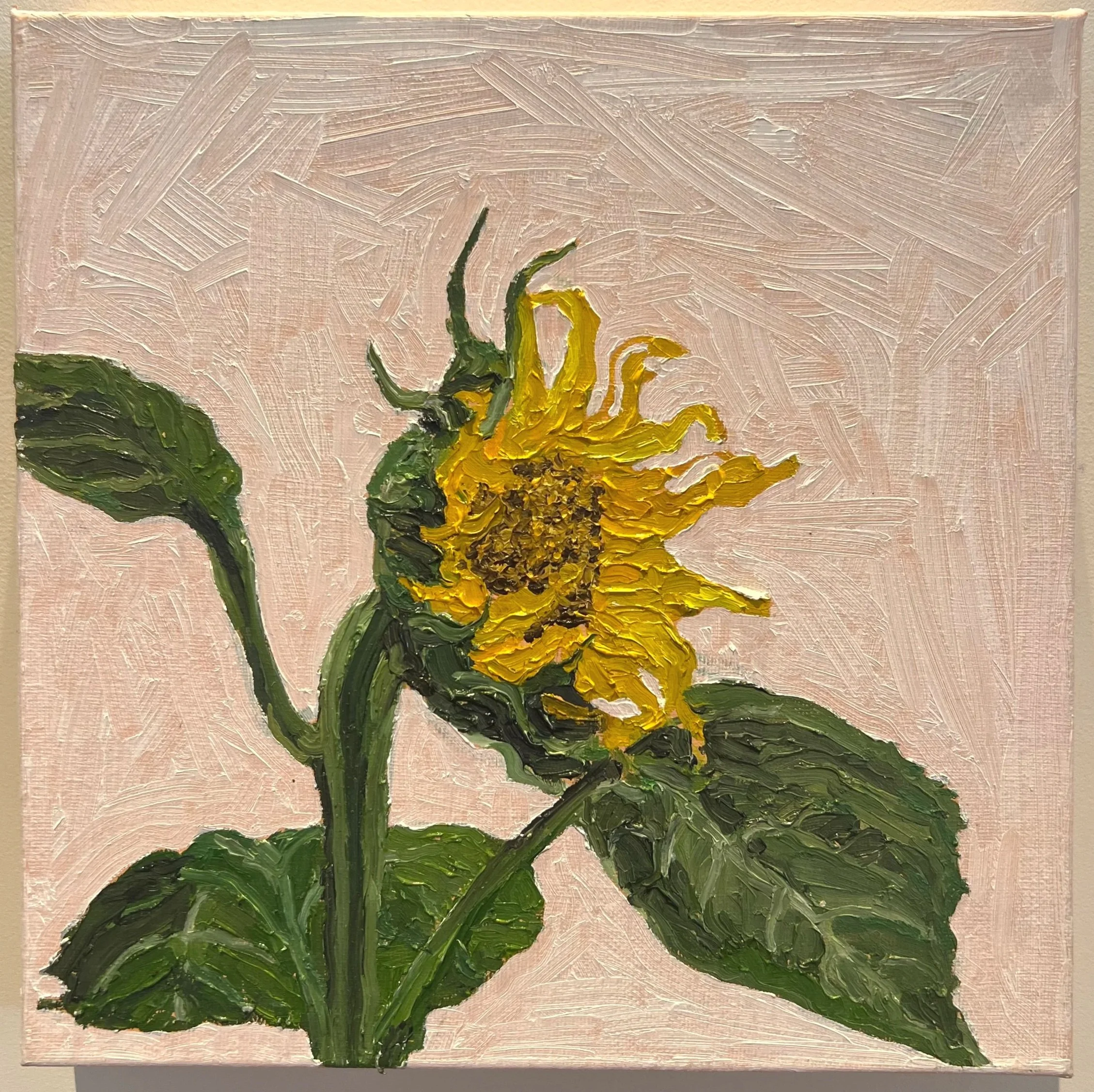 THE SUNFLOWER 2 (54/200)