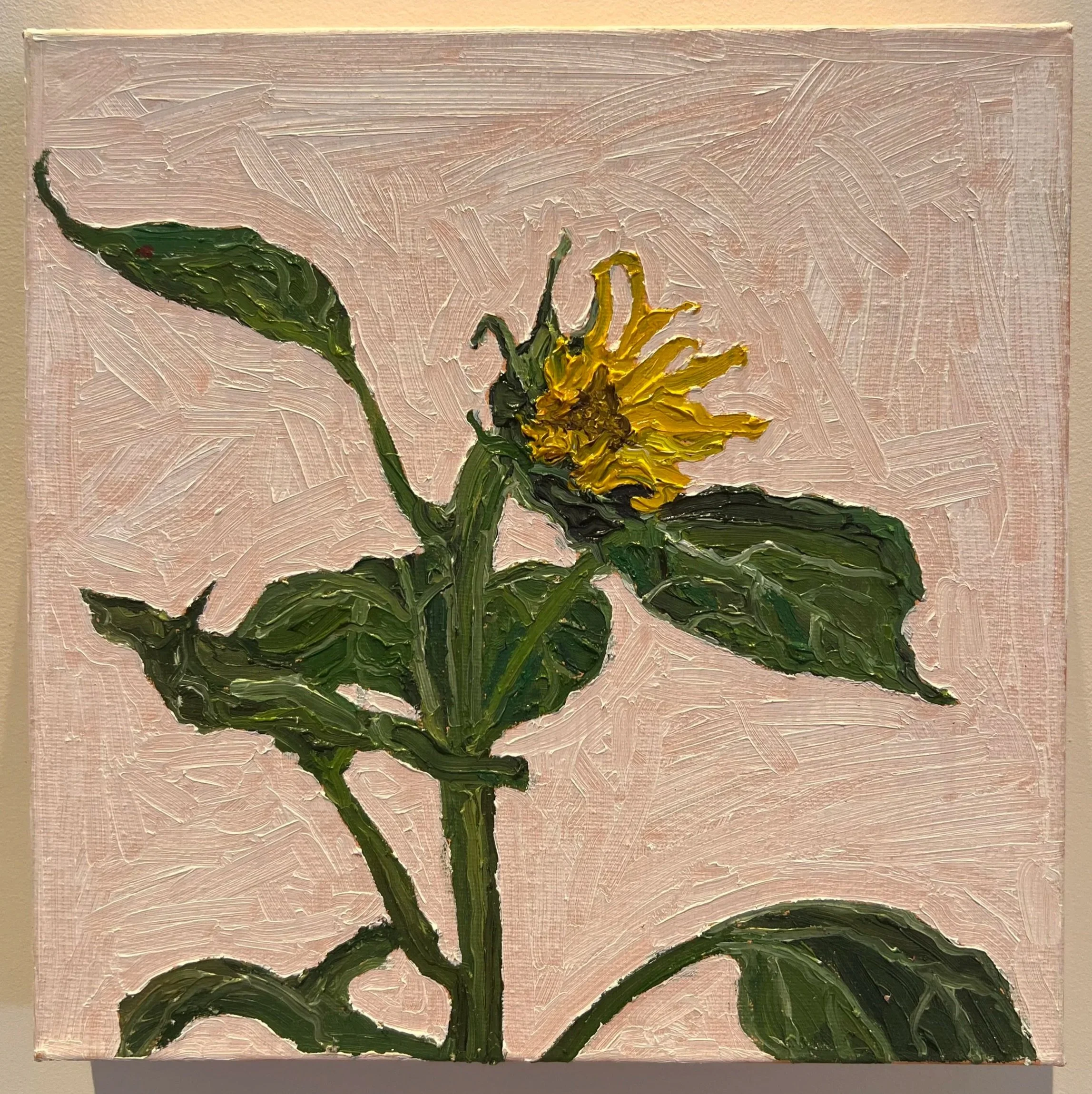 THE SUNFLOWER 1 (53/200)