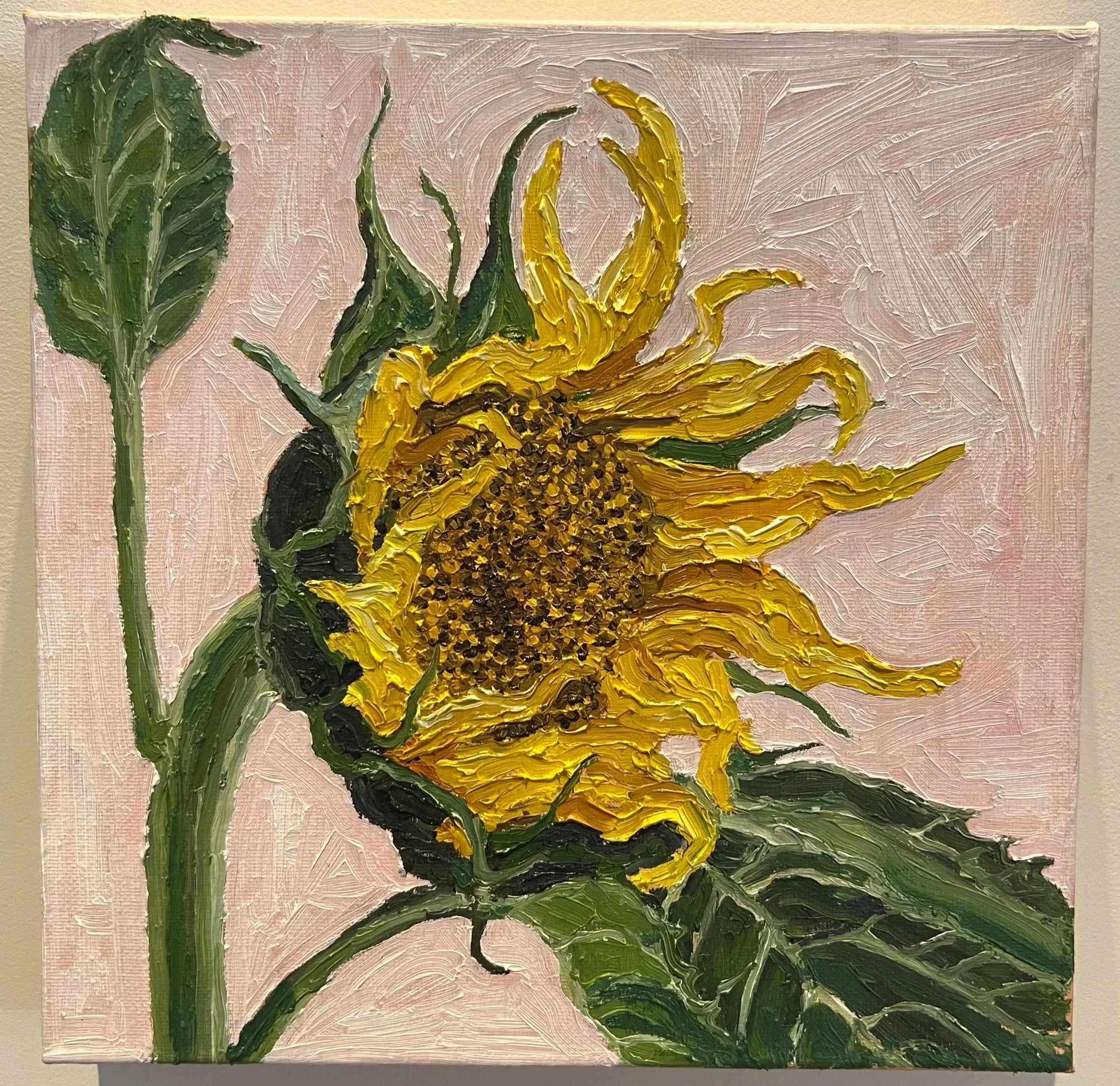 THE SUNFLOWER 3 (55/200)