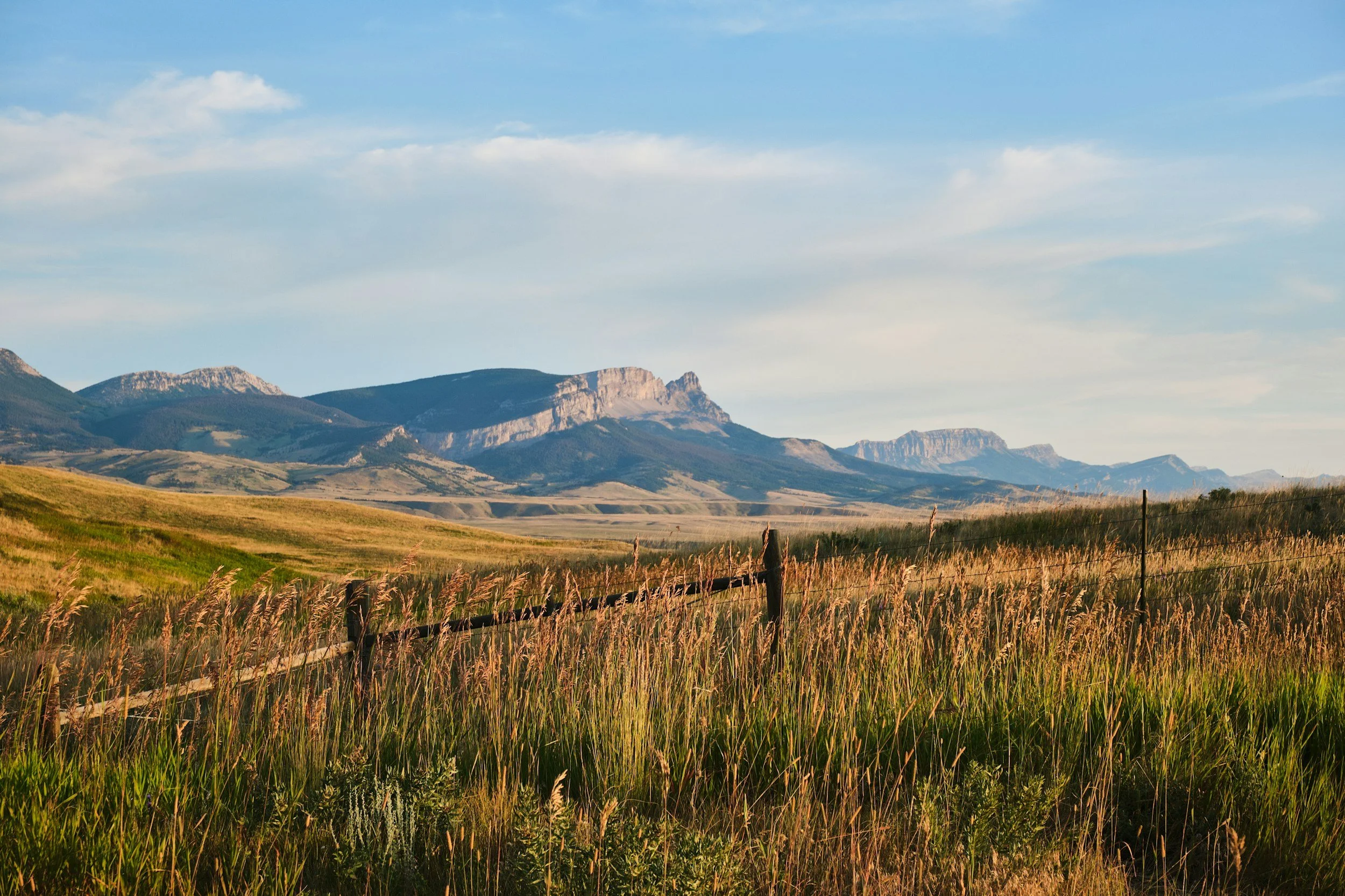 Open grassland with tall grasses and a wooden fence in the foreground, rolling hills and mountains in the background, under a partly cloudy sky.