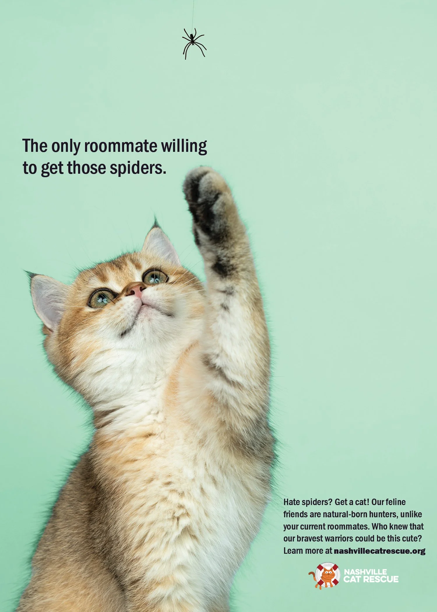 Final Print Ad 3.jpg