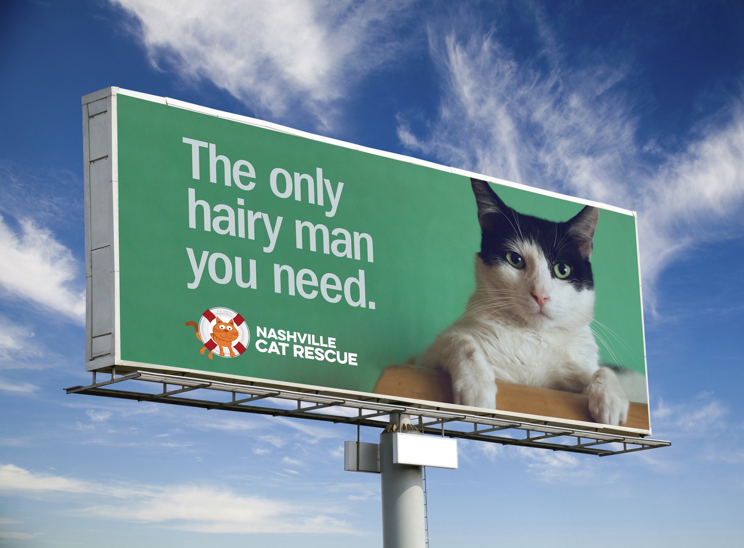 Cat Campaign