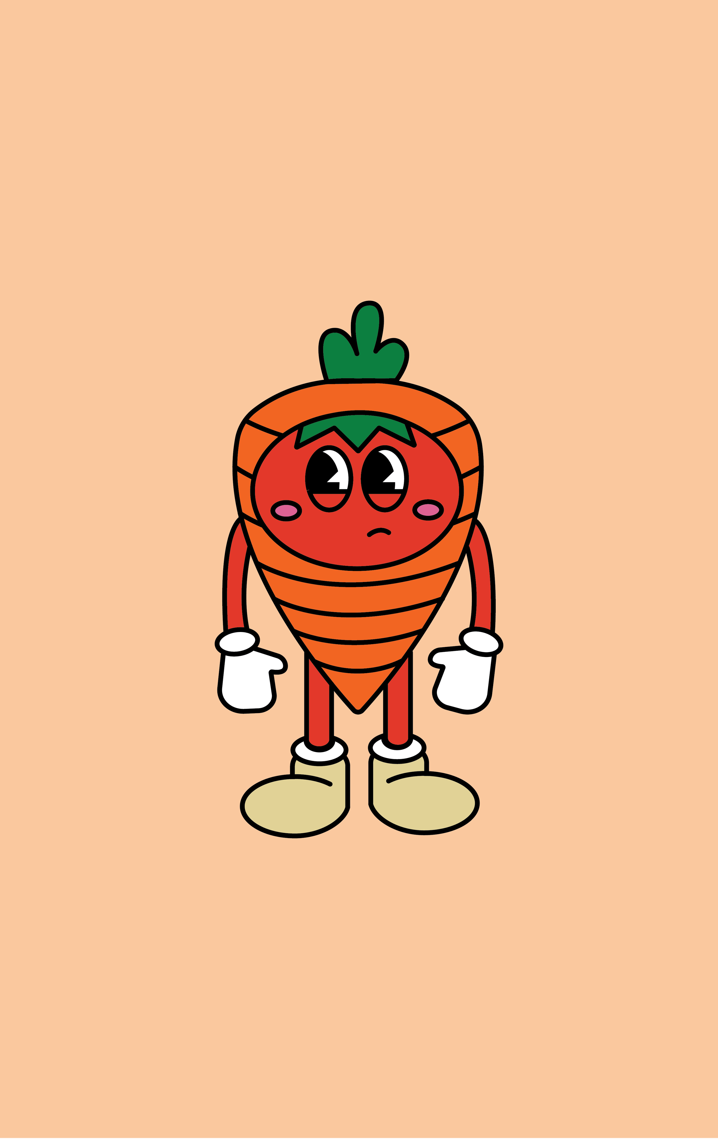 Misconception Posters