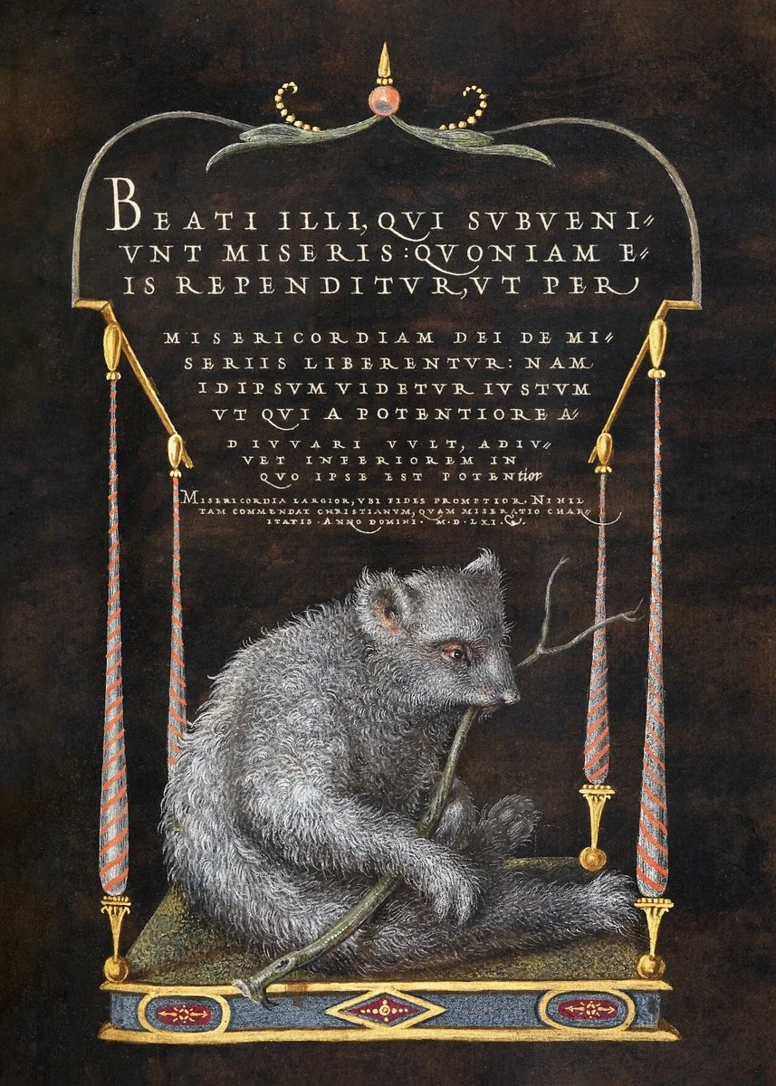 A painting of a bear sitting on a swing, holding a stick in its mouth. The swing has two ropes with red and white striped fabric and golden fixtures. Above the bear, there is Latin text on a dark background, framed with ornate gold and silver detailing, and a decorative element at the top resembling a bow or ribbon.