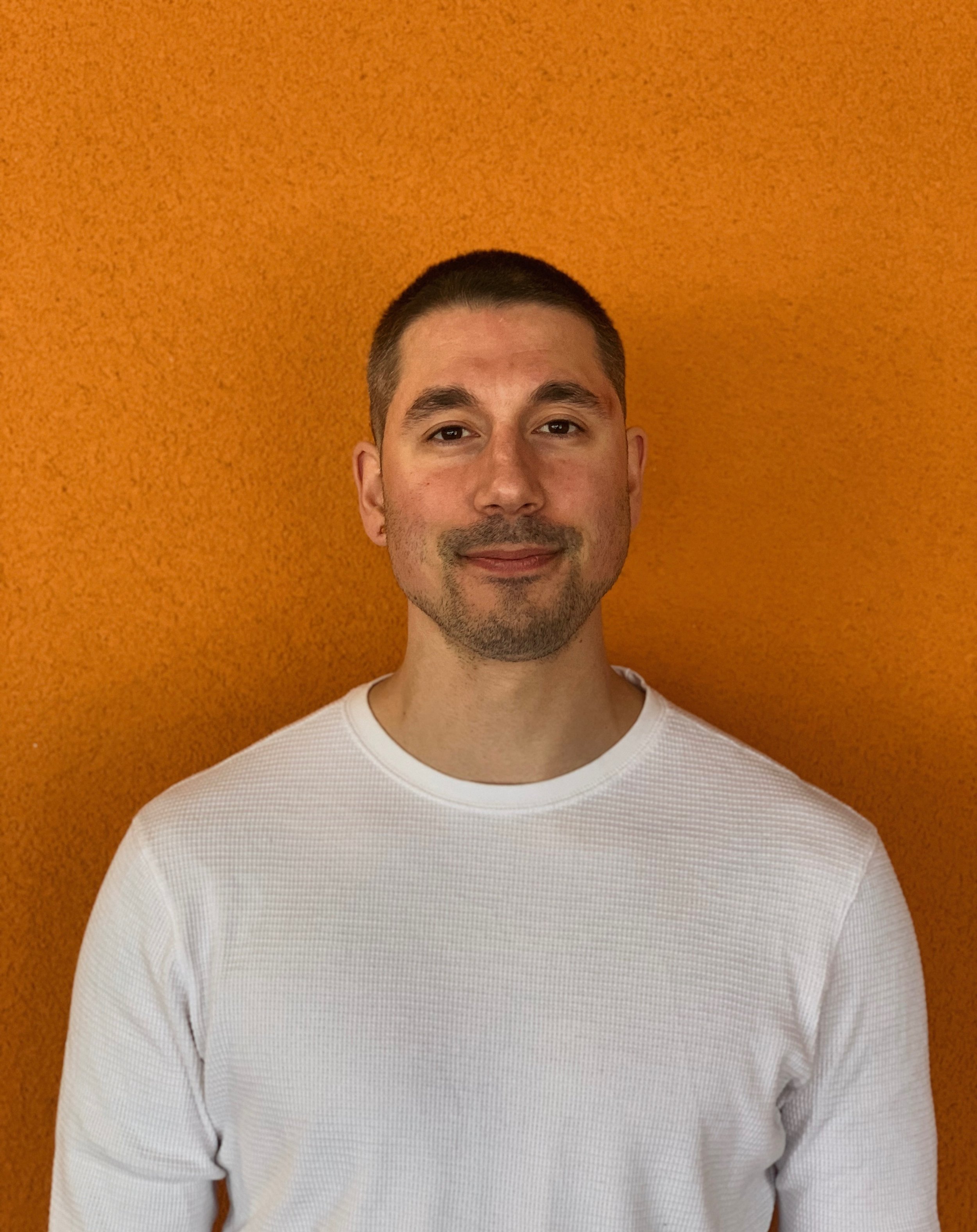 Professional and Experienced Painter