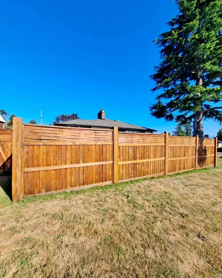 A wooden privacy fence enclosing a yard with a brownish grassy ground, a house with a gray roof and chimney in the background, and tall trees, under a clear blue sky.