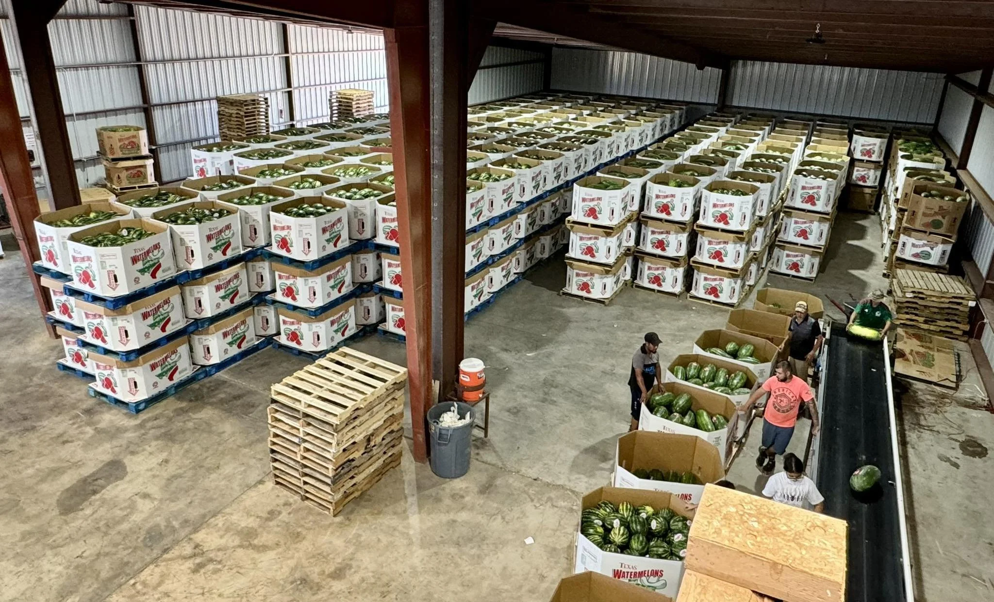Workers sort and pack watermelons into large cardboard boxes in a warehouse with stacked boxes of watermelons along the walls.