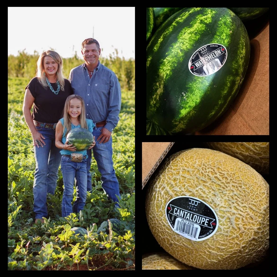 A family of three standing in a watermelon field; a woman, a man, and a girl holding a watermelon; close-up images of a watermelon and a cantaloupe with stickers on them.