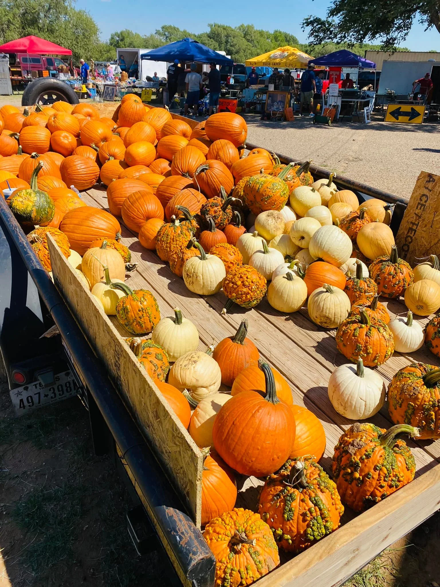Fall display of pumpkins at an outdoor market stall with various types including orange, white, and decorative gourds under tents and booths.