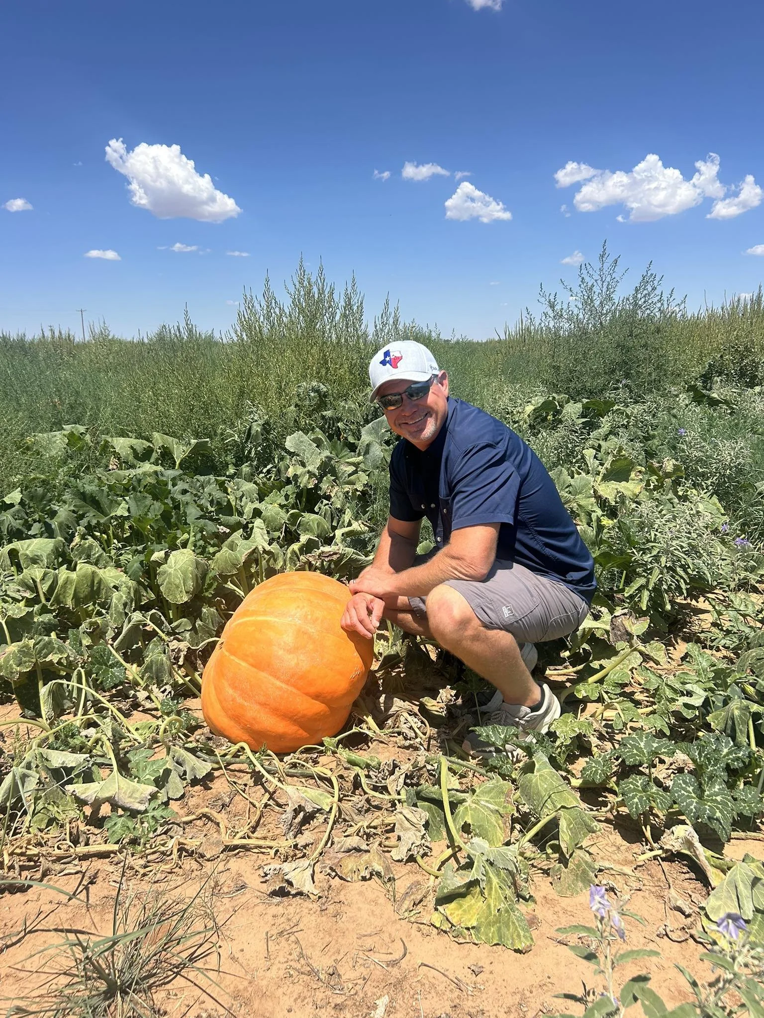 A man in sunglasses and a white hat crouches next to a large orange pumpkin in a pumpkin patch, with a blue sky and clouds overhead.