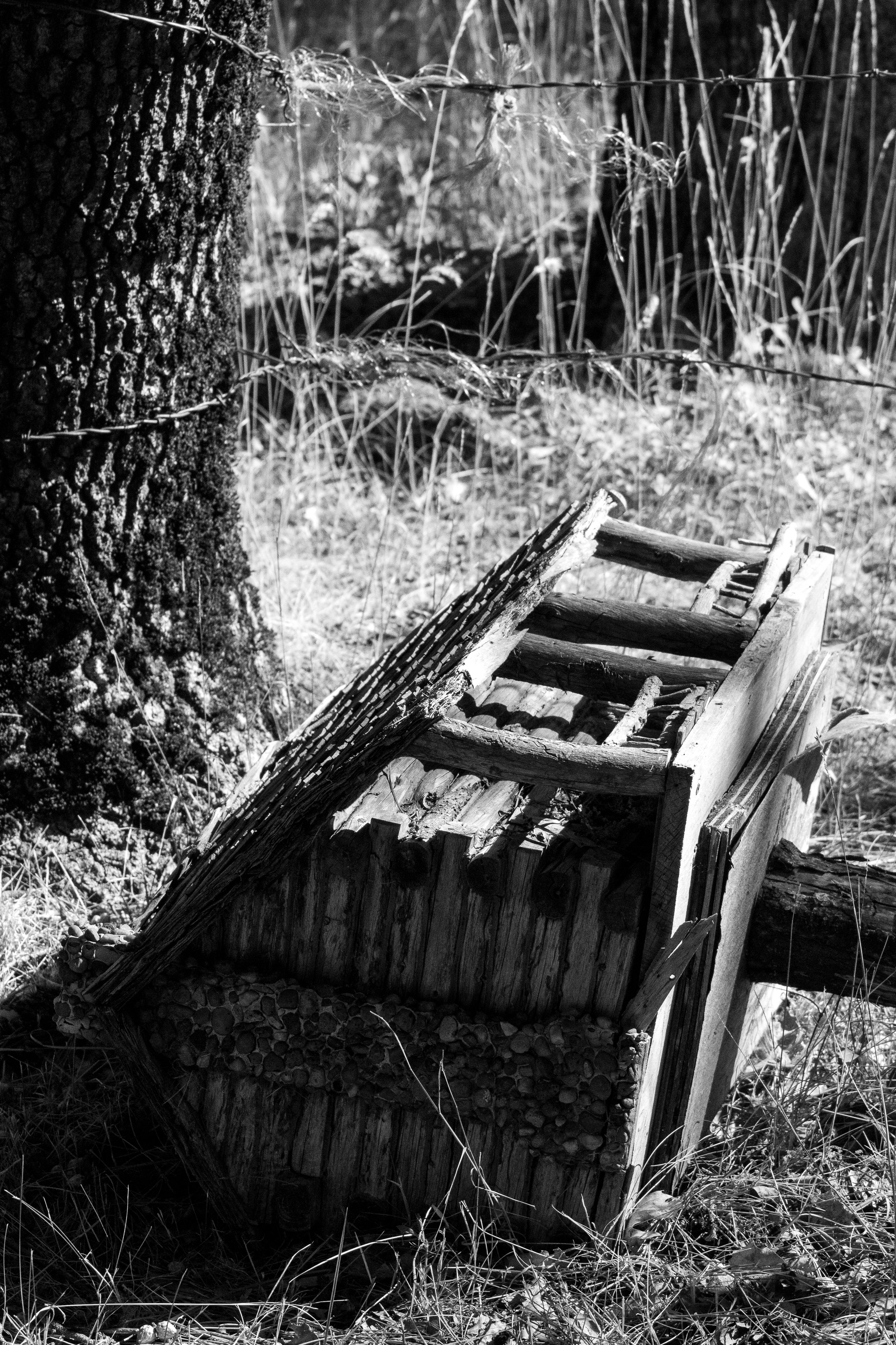_MG_3925.jpg