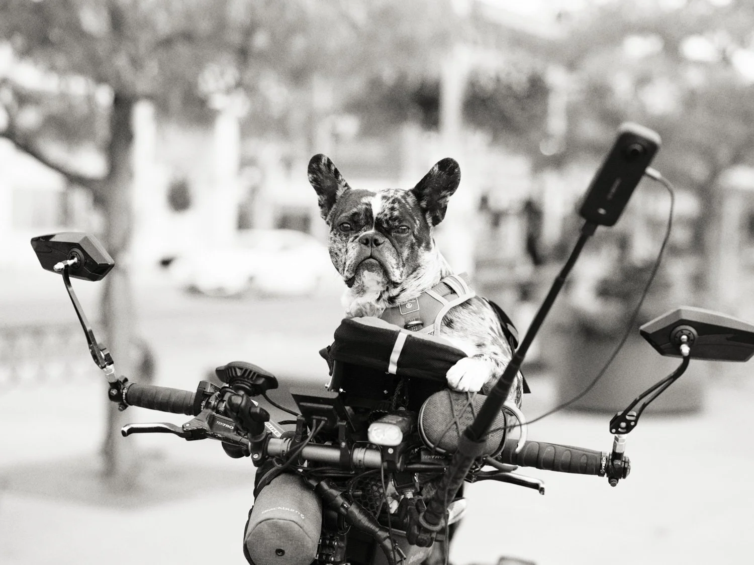 street_portraits_project_waterloo26_n1.jpg