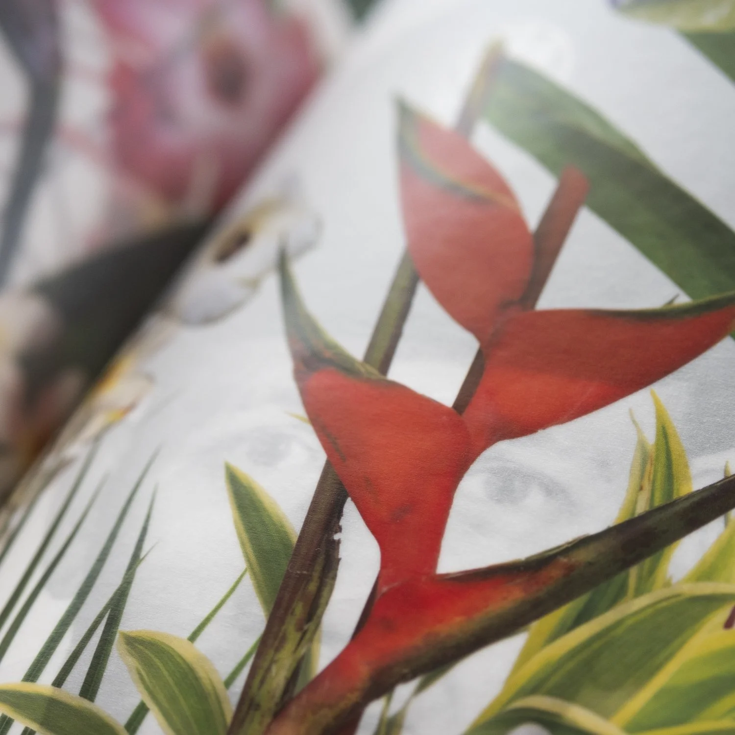 BIRDS & [Re]Collections and Earthly Artifacts