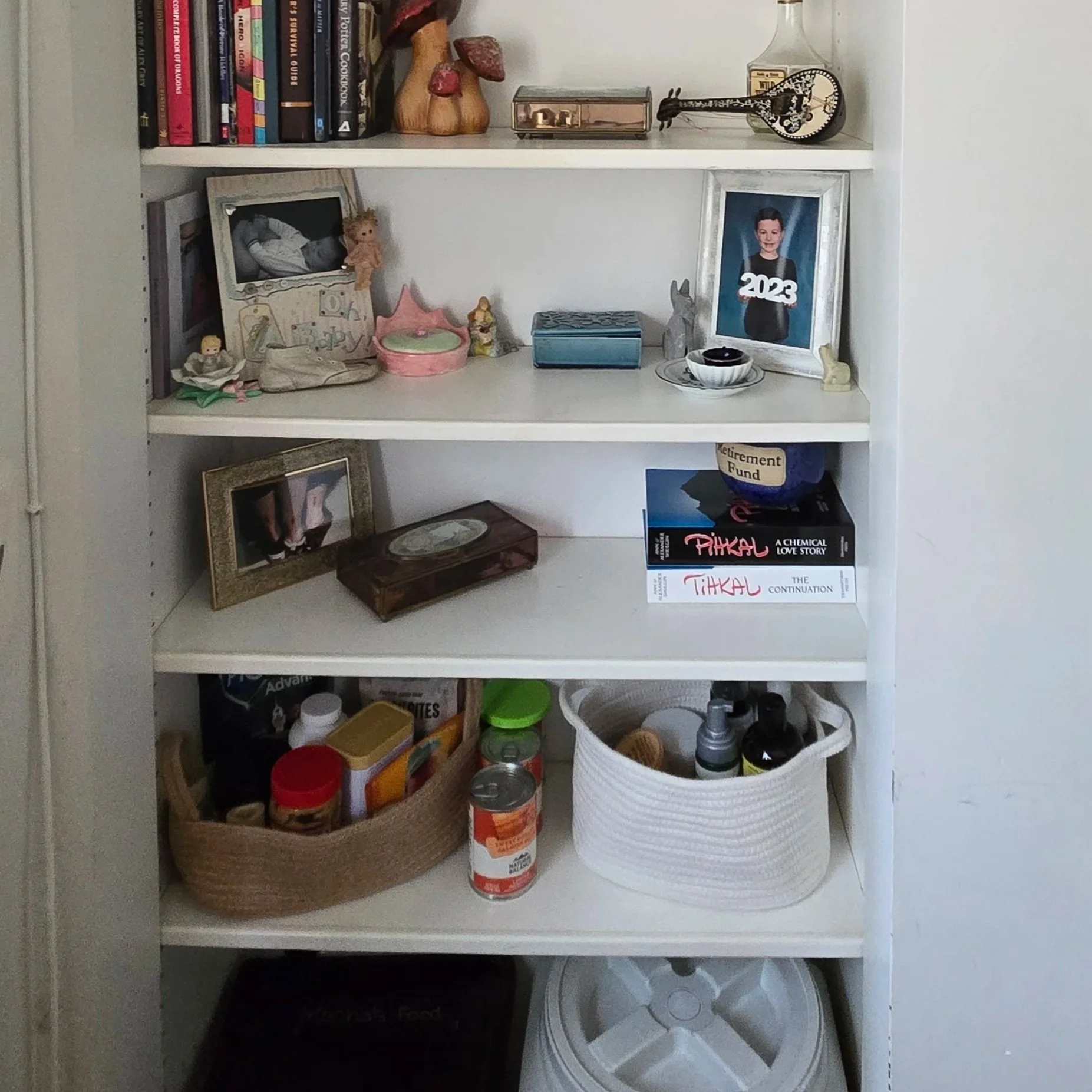 Photo of shelves with pet grooming and nutrition supplies organizing in a visually pleasing way together near the dog food and toys.