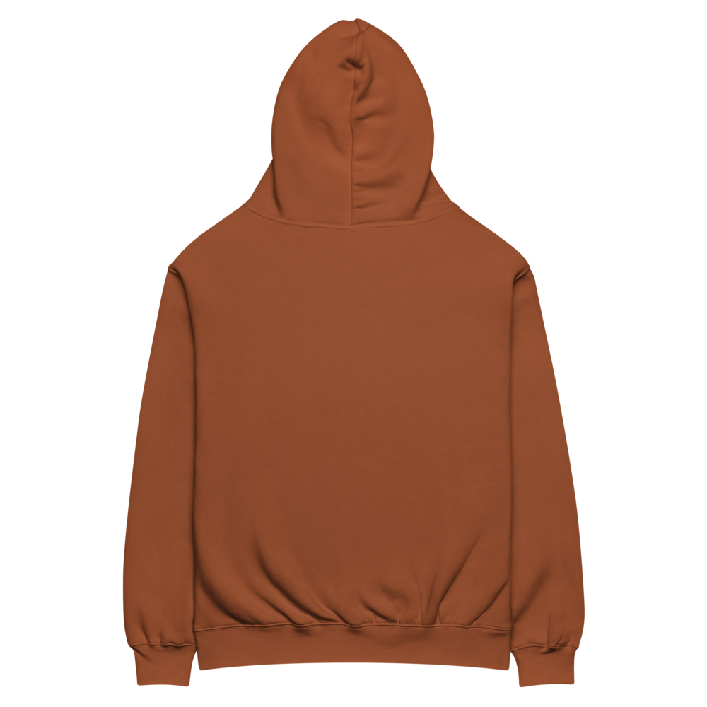 as-colour-5161-i-unisex-oversized-hoodie-clay-back-6996dc9e790b9.png