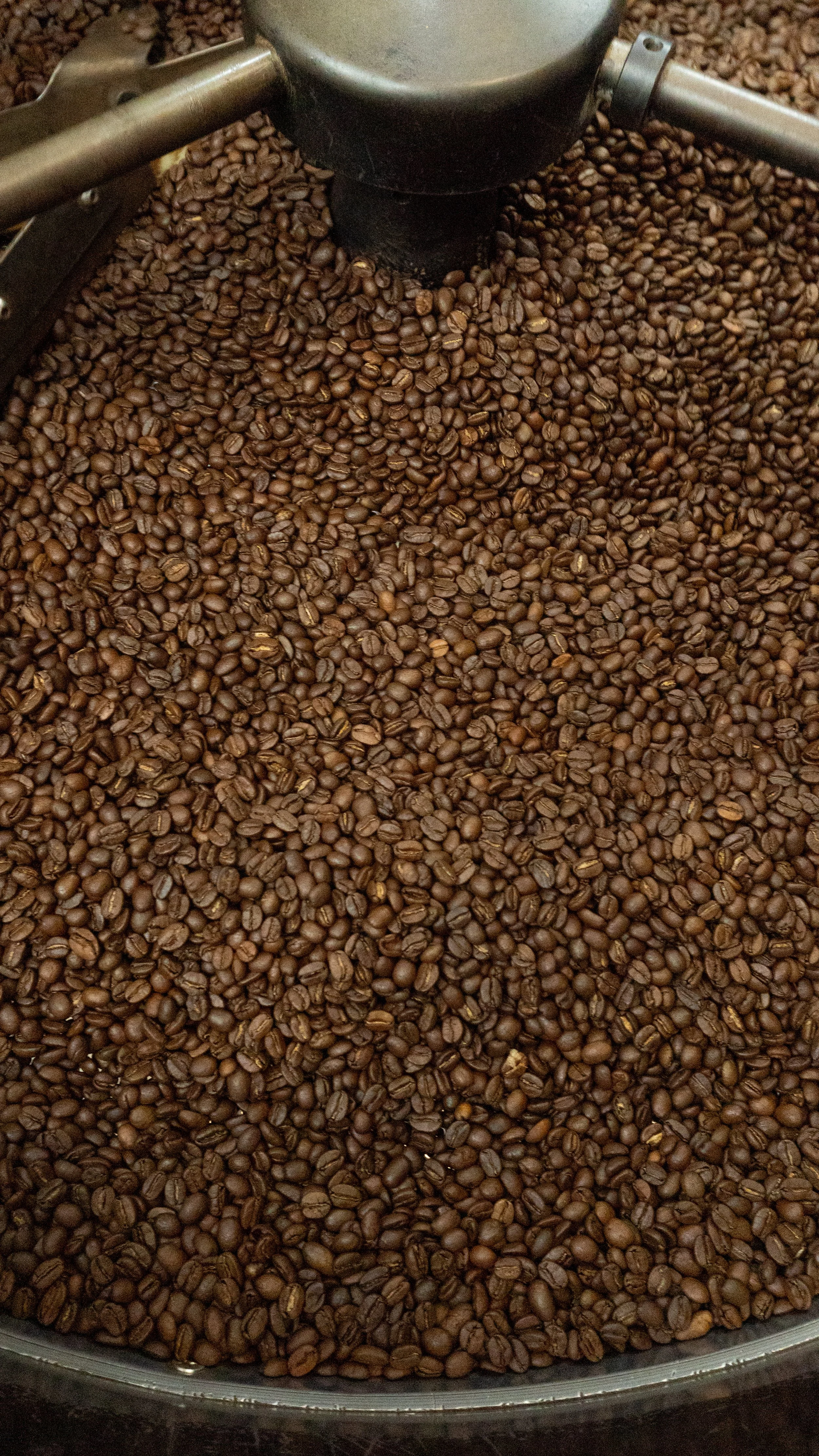 City Bean Roasters Roasting Coffee Beans 3.jpg