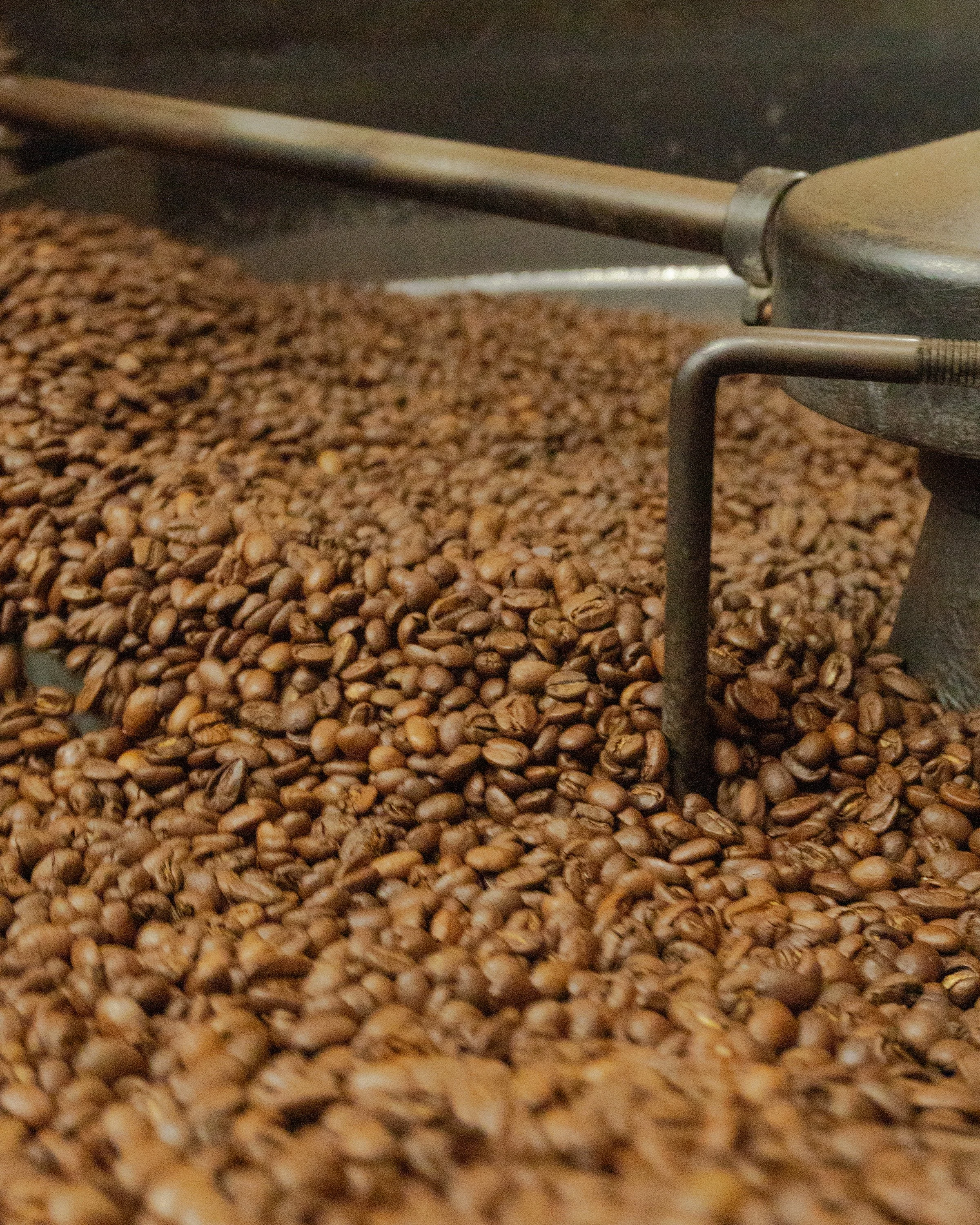City Bean Roasters Roasting Coffee Beans 2.jpg
