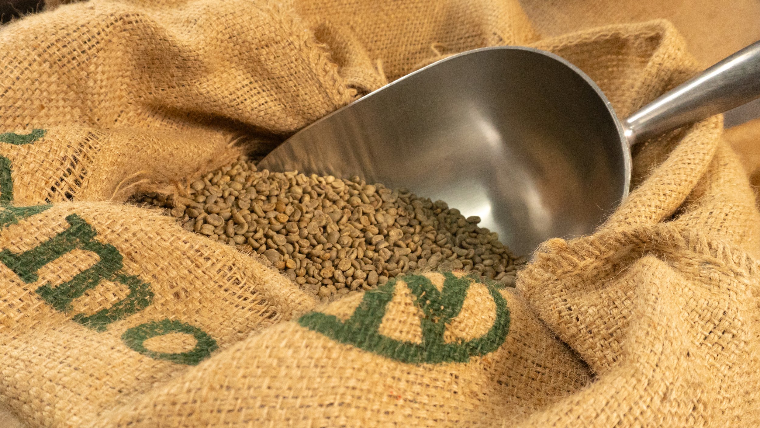 City Bean Roasters Sourced Coffee Beans with Scoop.jpg