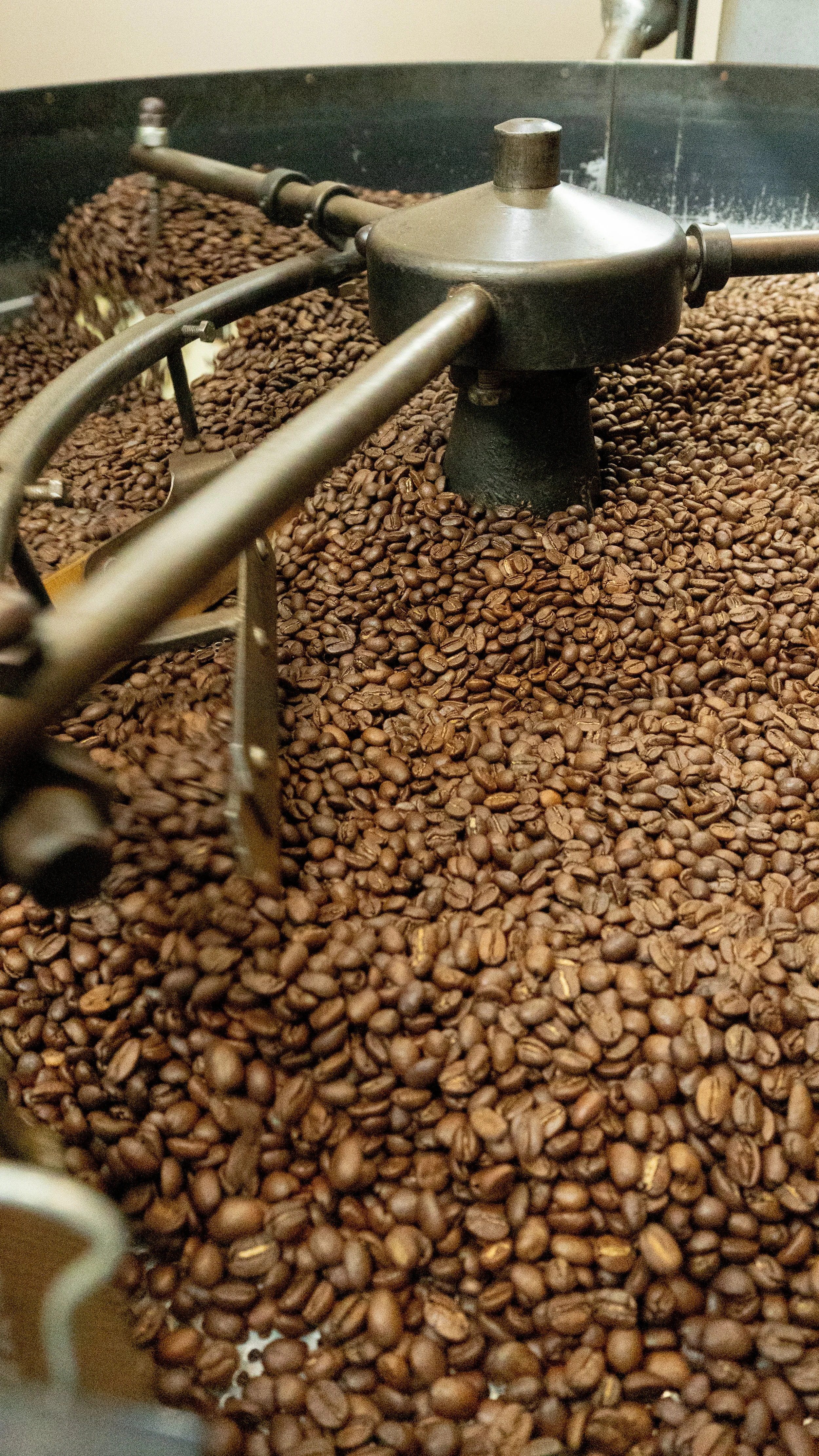 City Bean Roasters Roasting Coffee Beans 4.jpg