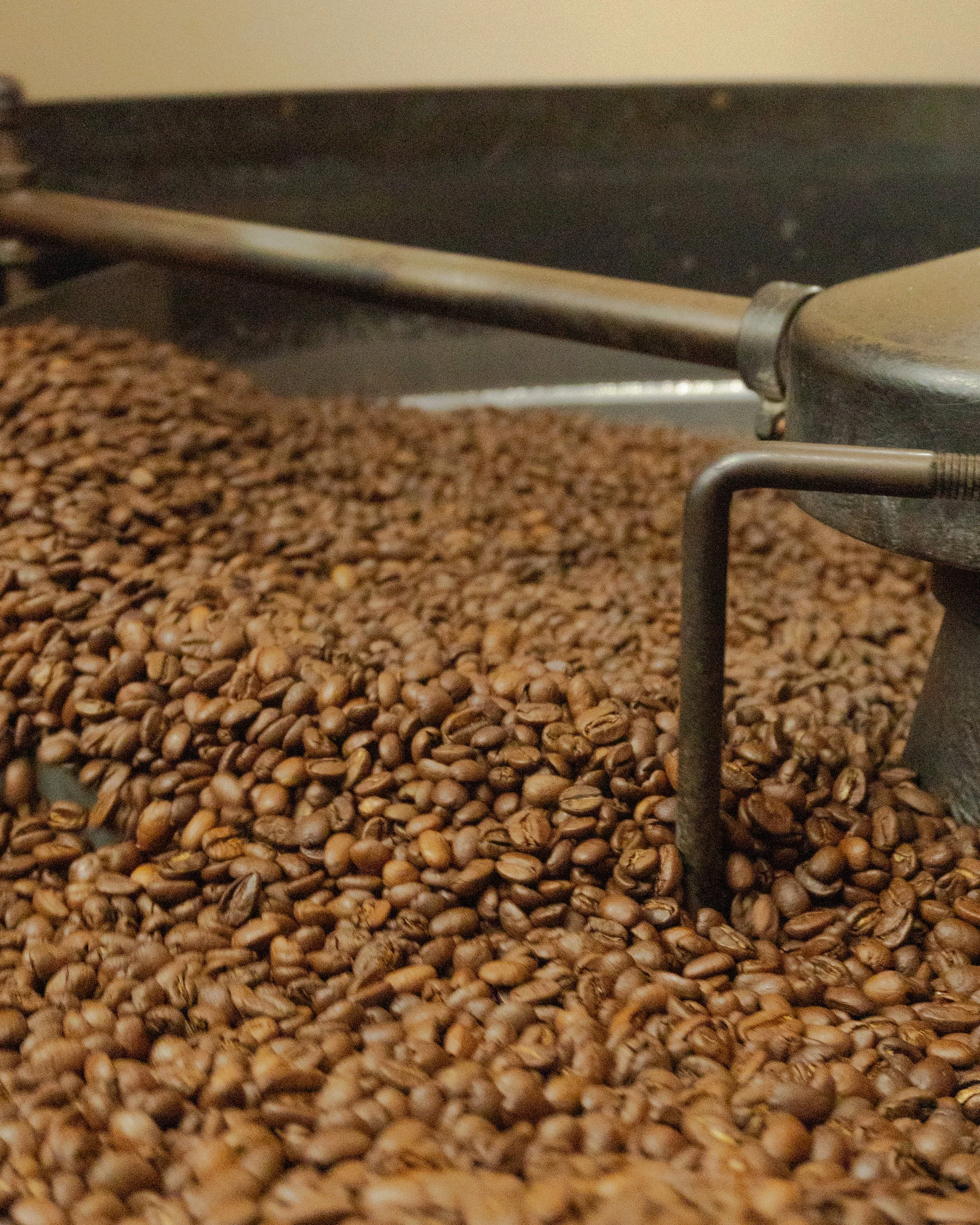 City Bean Roasters Roasting Coffee Beans 1.jpg