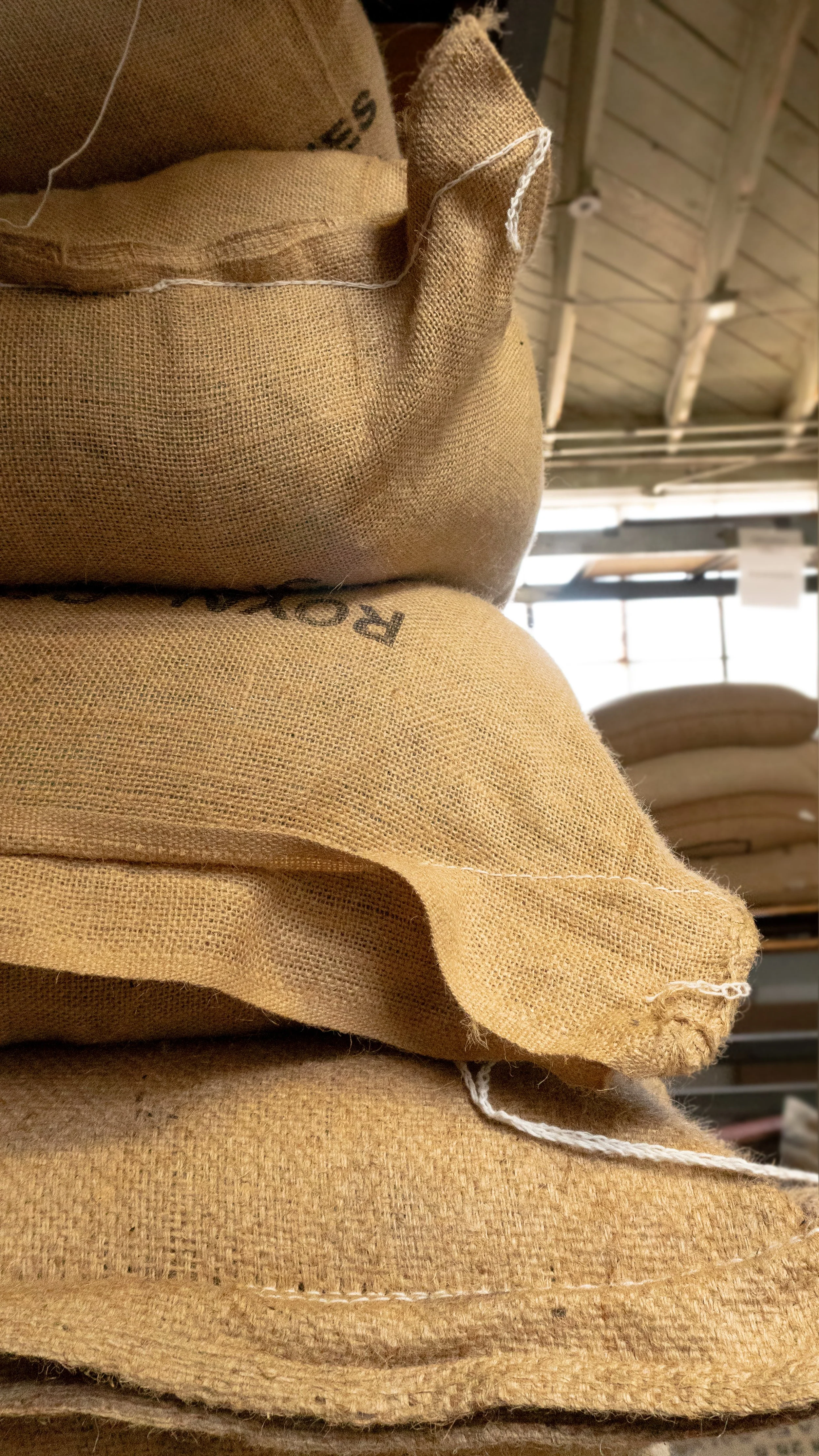 City Bean Roasters Stacked Coffee Bags.jpg