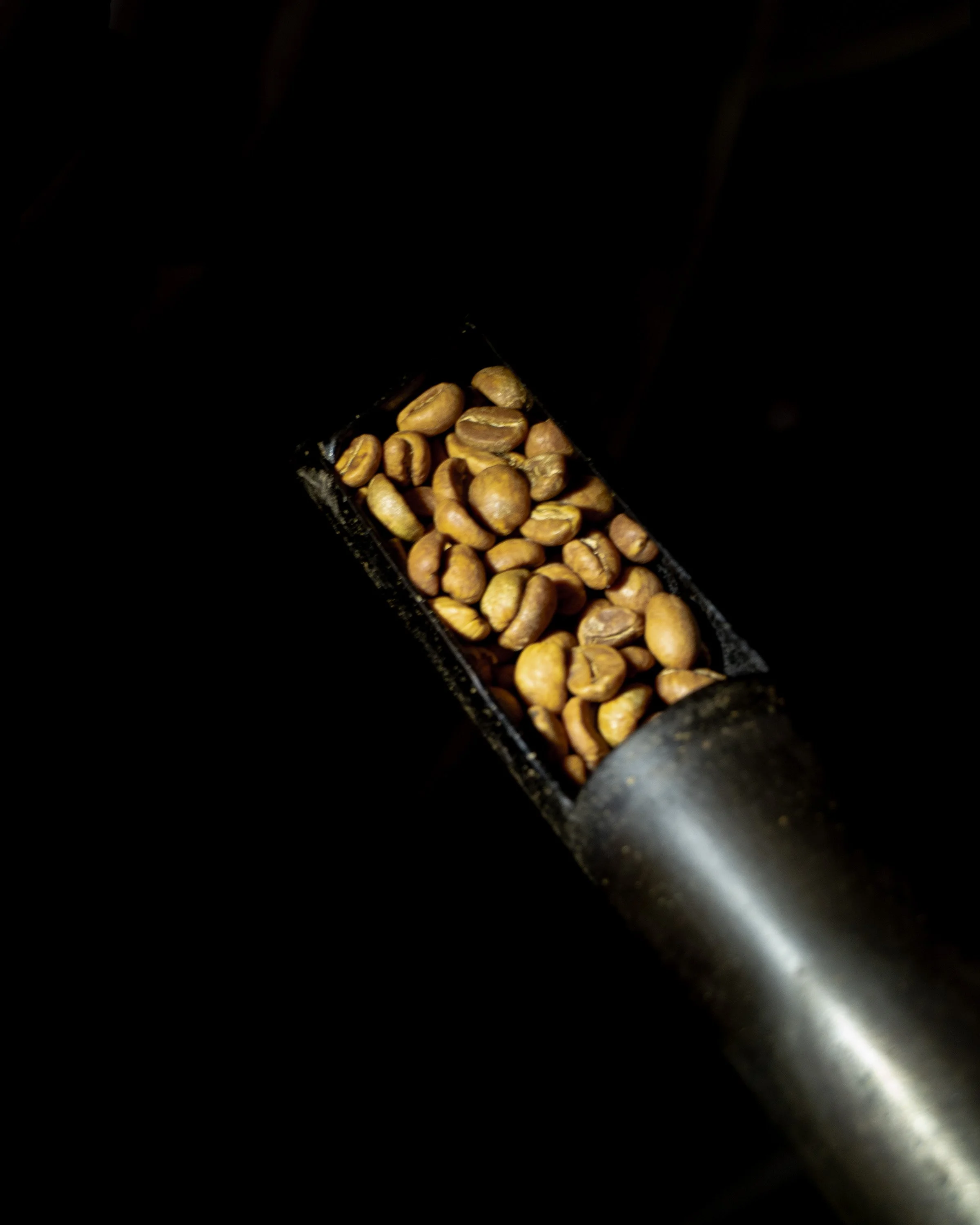City Bean Roasters Test Beans.jpg