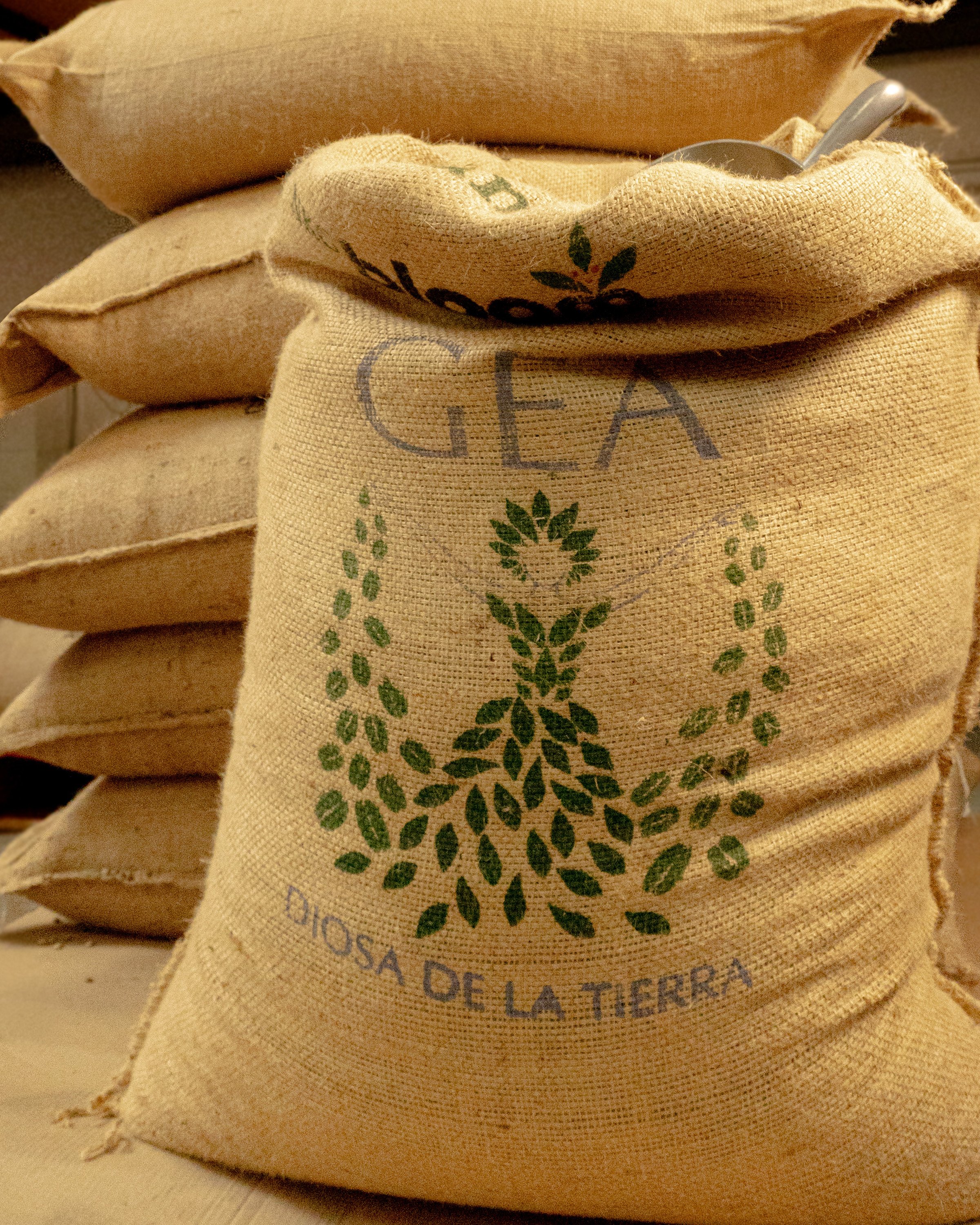 City Bean Roasters Sourced Coffee Bags.jpg