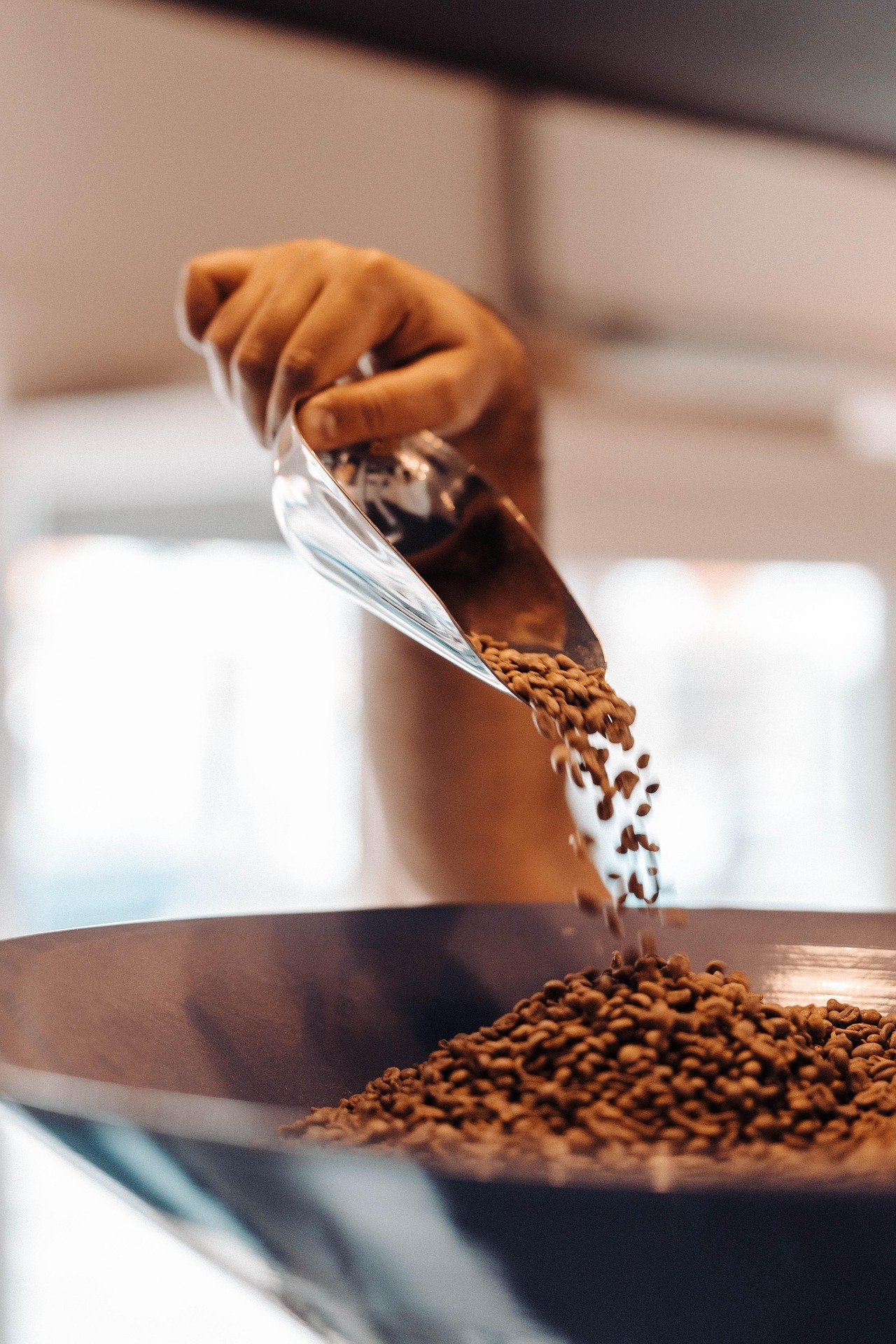 Scooping fresh roasted beans.