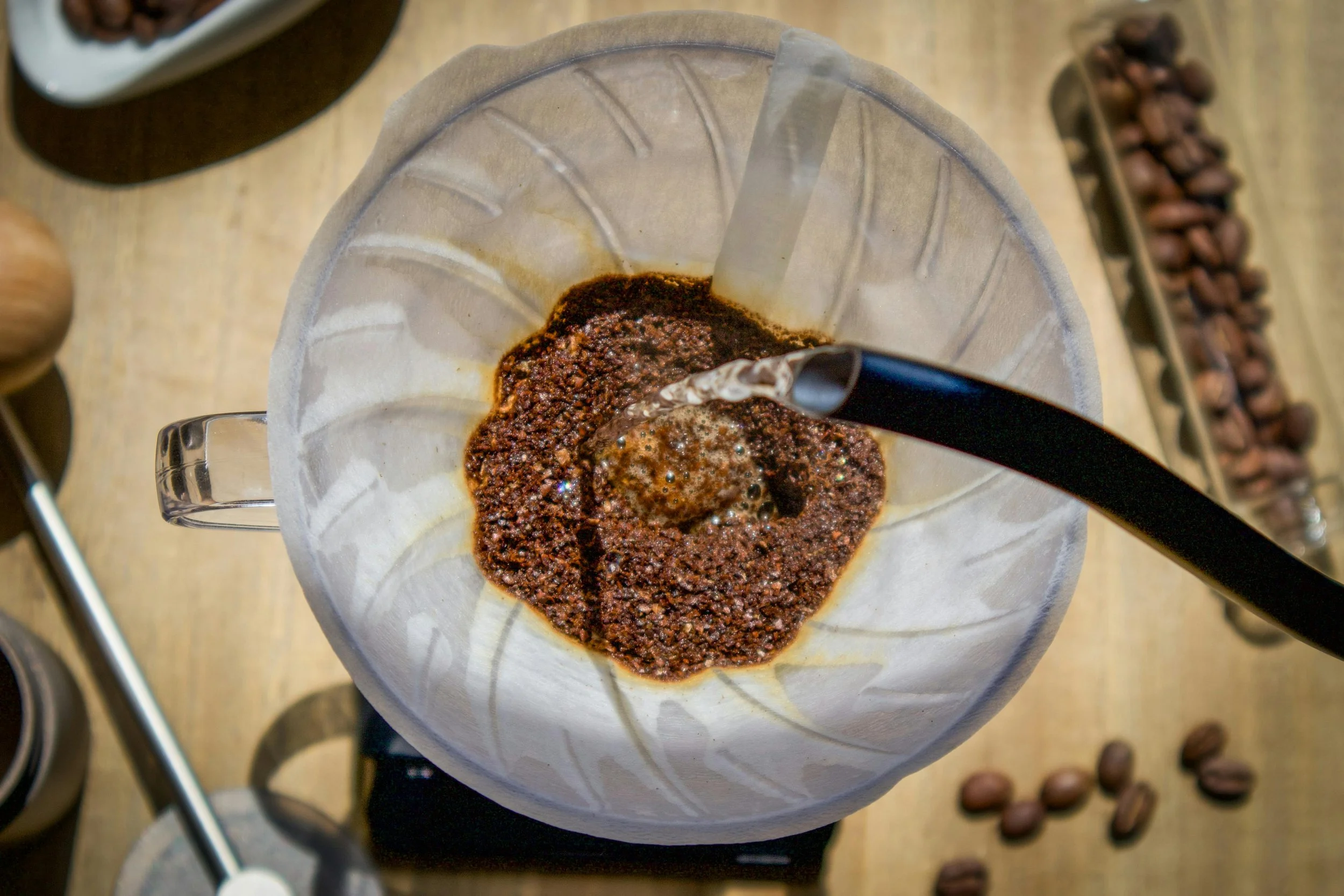 Beginner Coffee Brewing Workshop