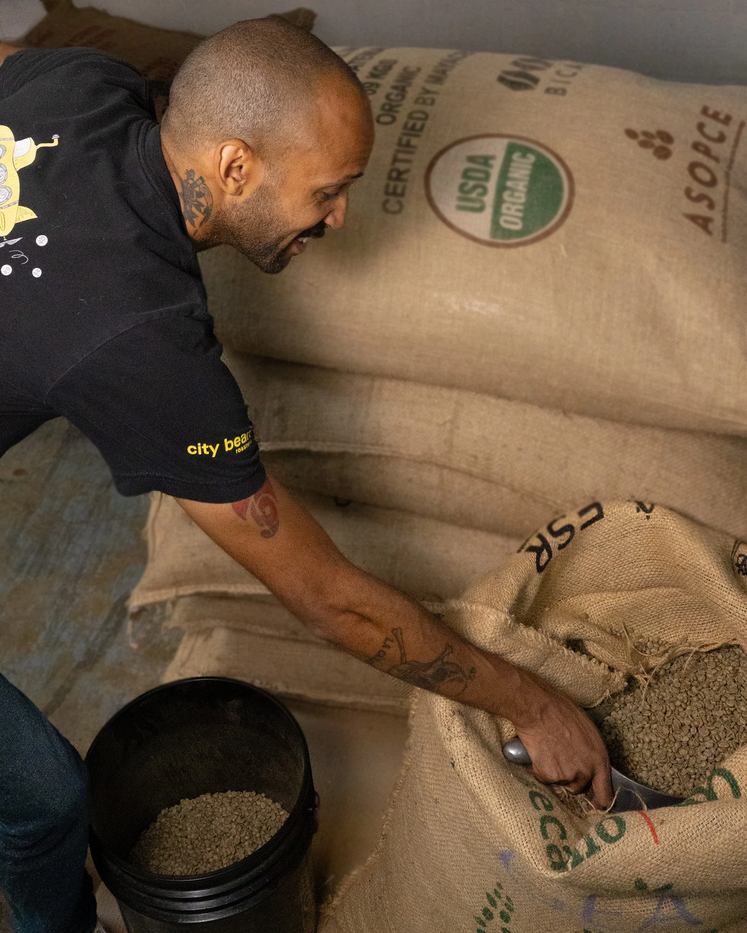 City Bean Roasters employee scooping green coffee beans.