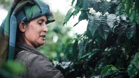 Female Coffee Bean Farmer