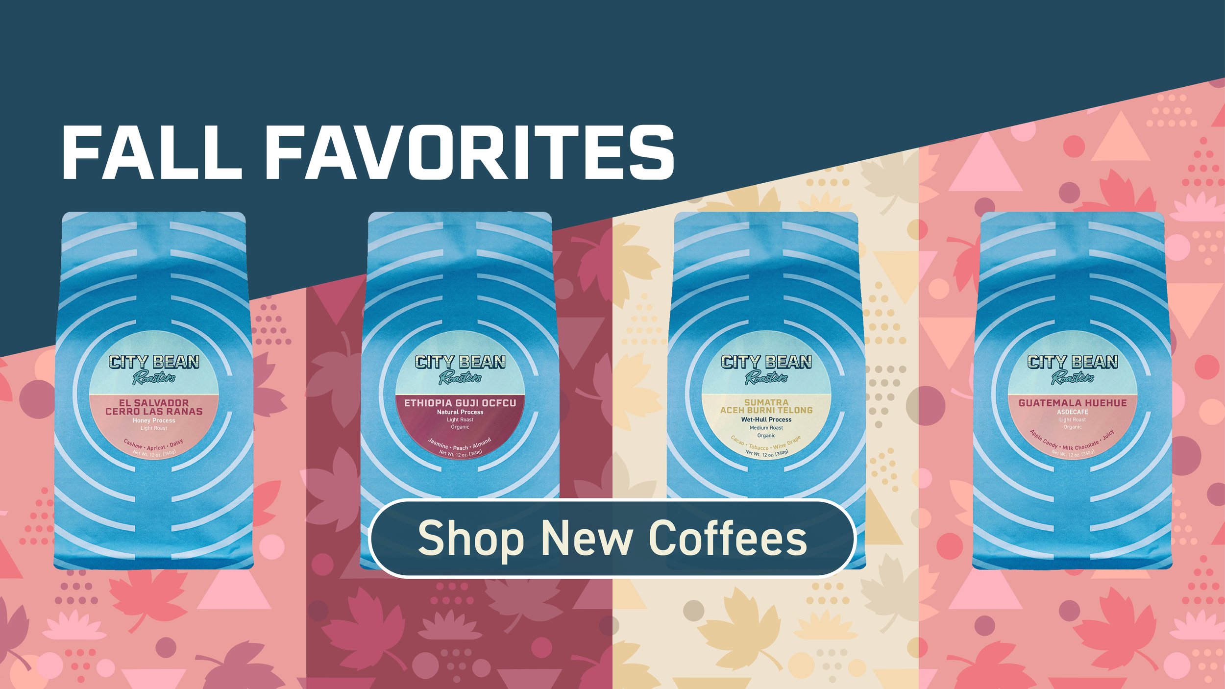 Shop Fall Favorites