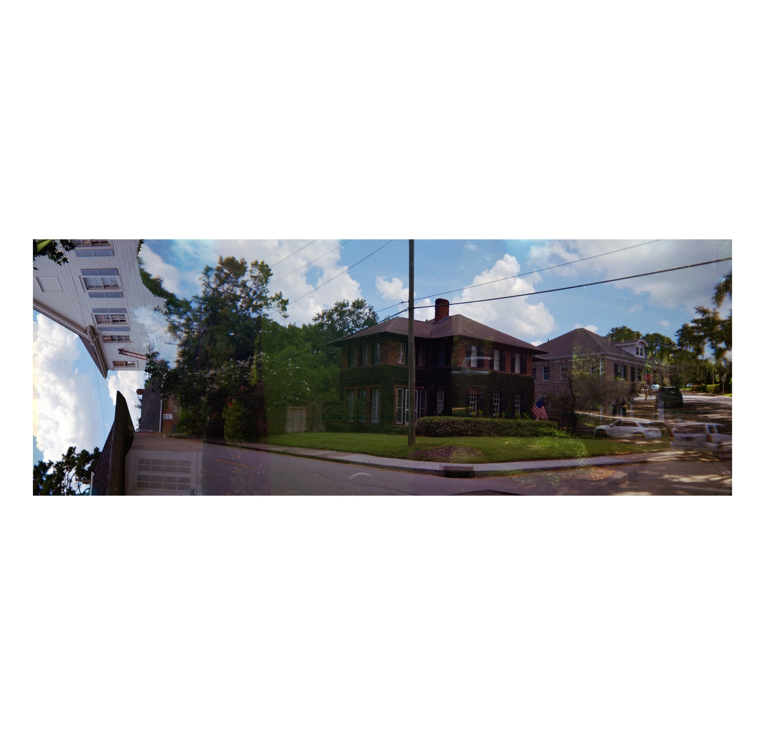 BikeTree Line (2).jpg