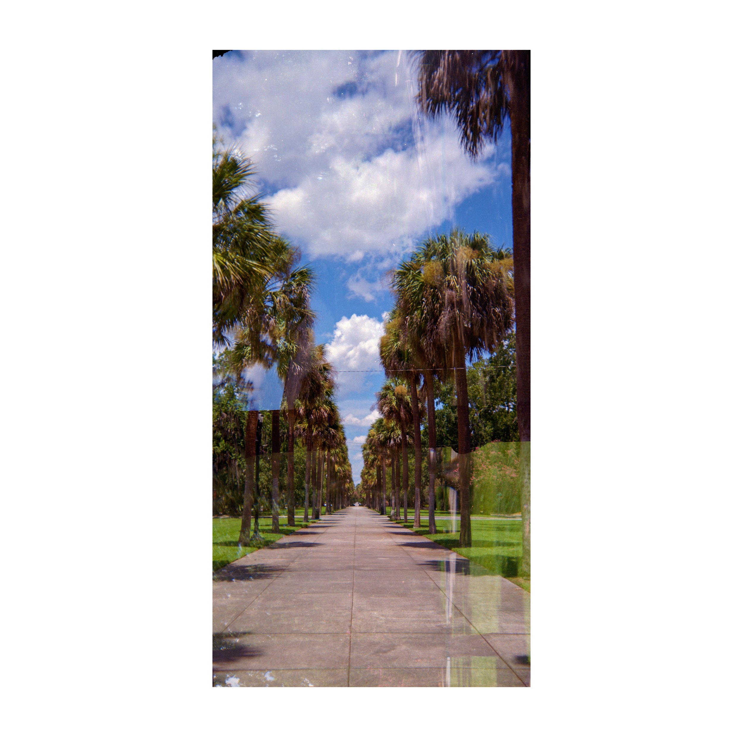 BikeTree Line (3).jpg