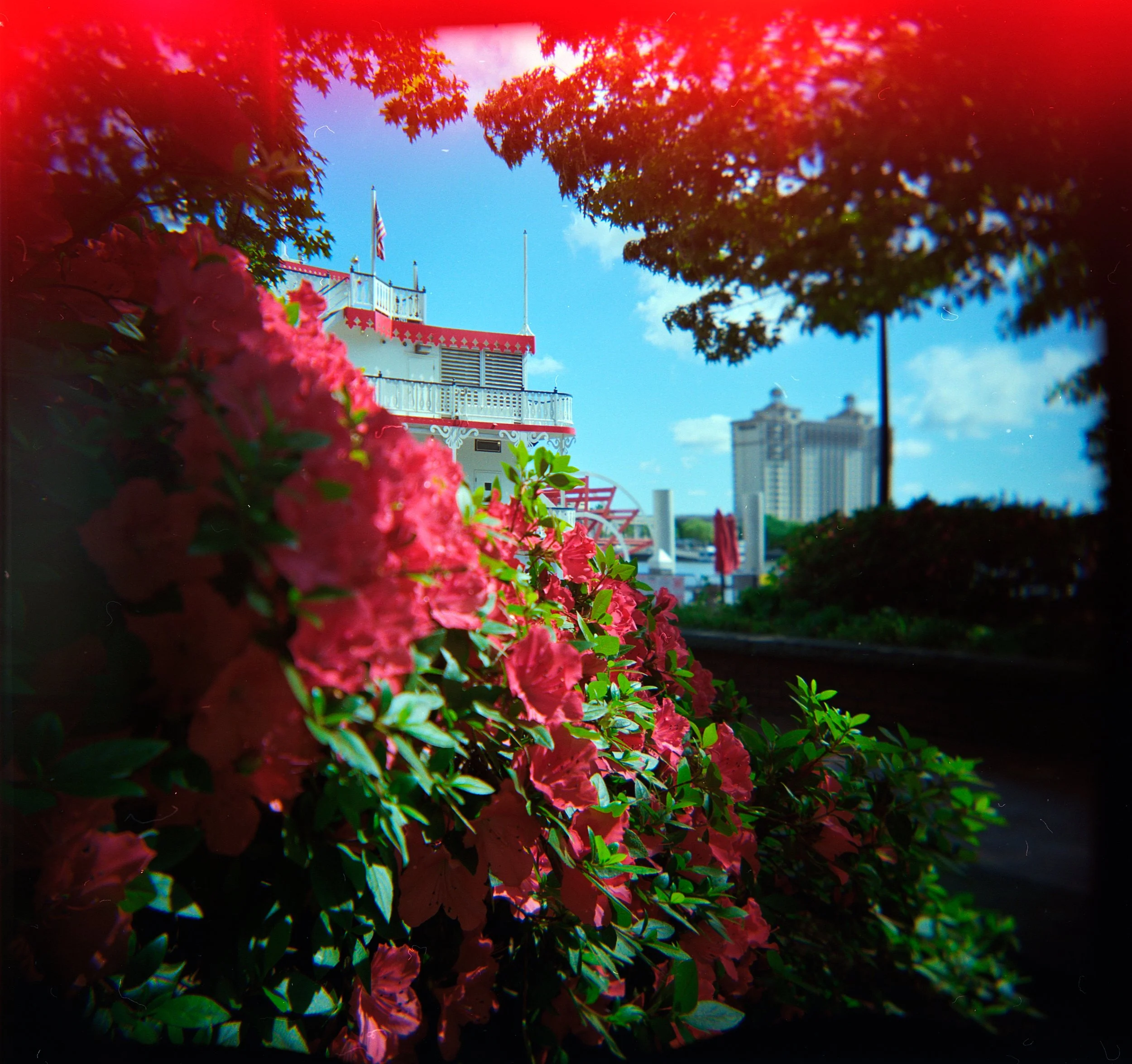 Holga Series