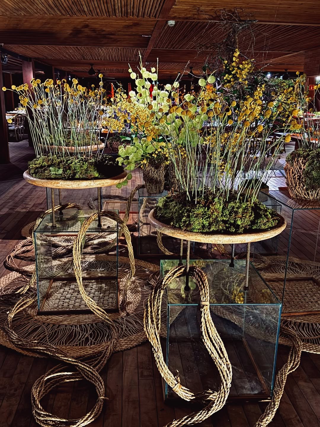 Iniciar o ano com toda fé e crença que 2026 será um ano de muitas alegrias prosperidades e de mu-3.jpg