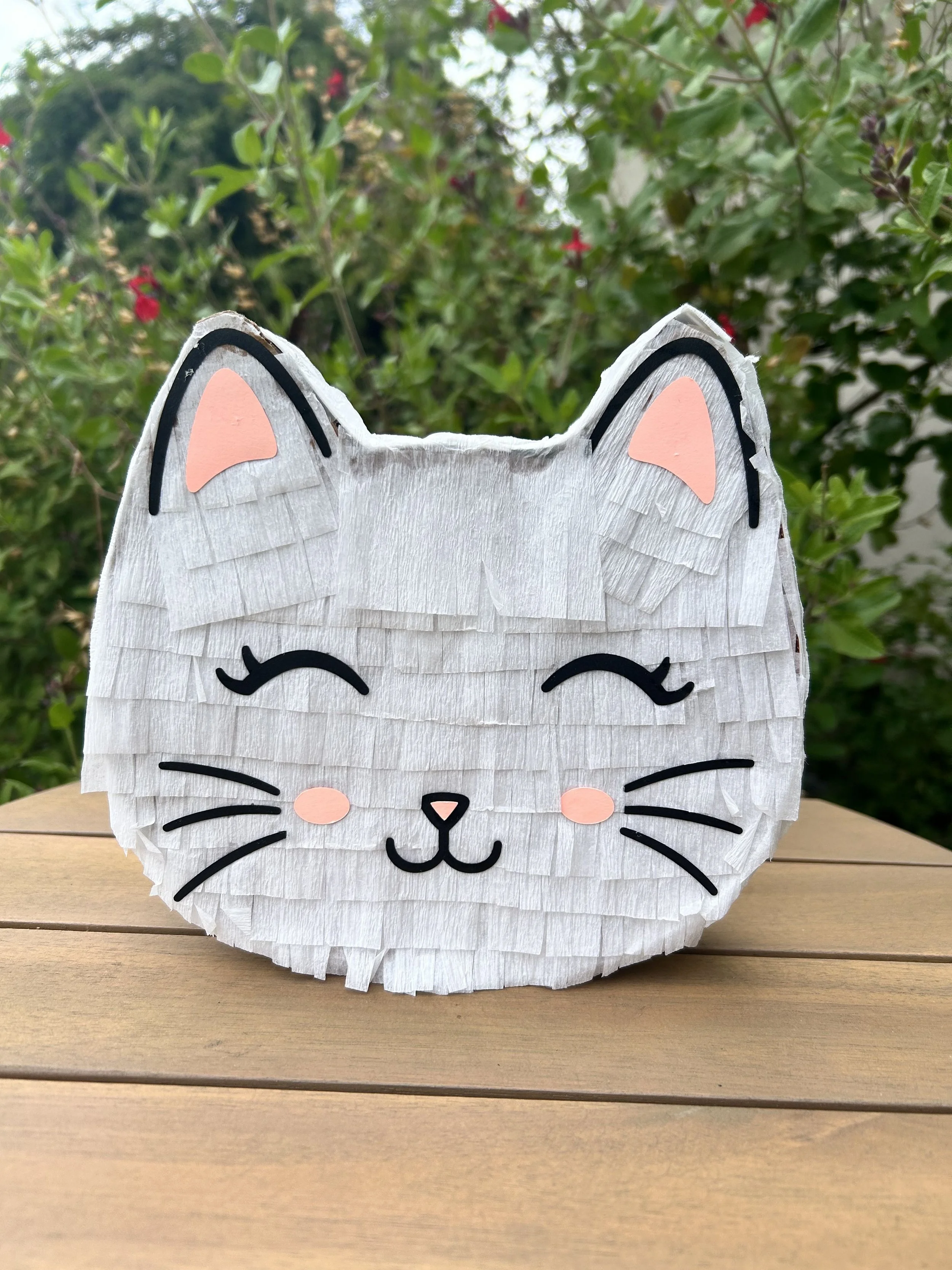 cat pinata.jpg