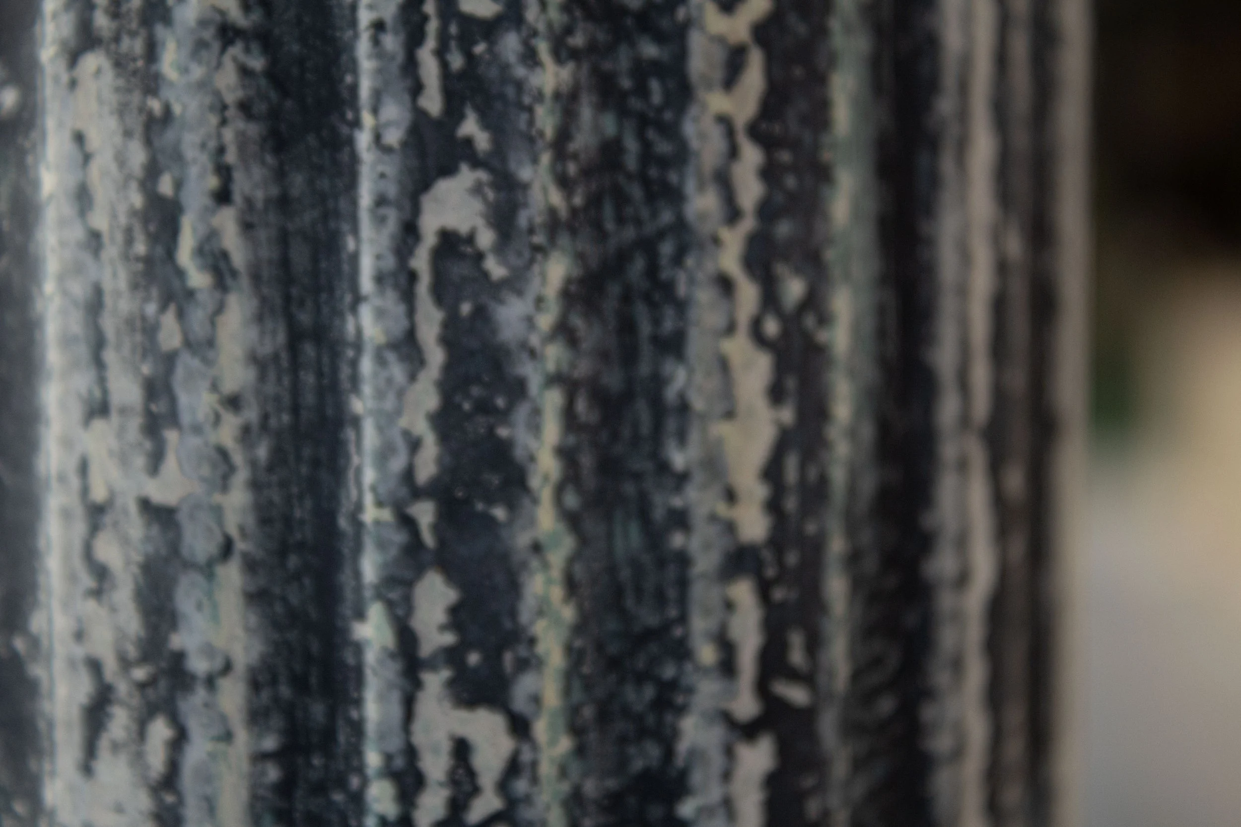 Close-up of a dark, textured tree trunk with peeling bark.