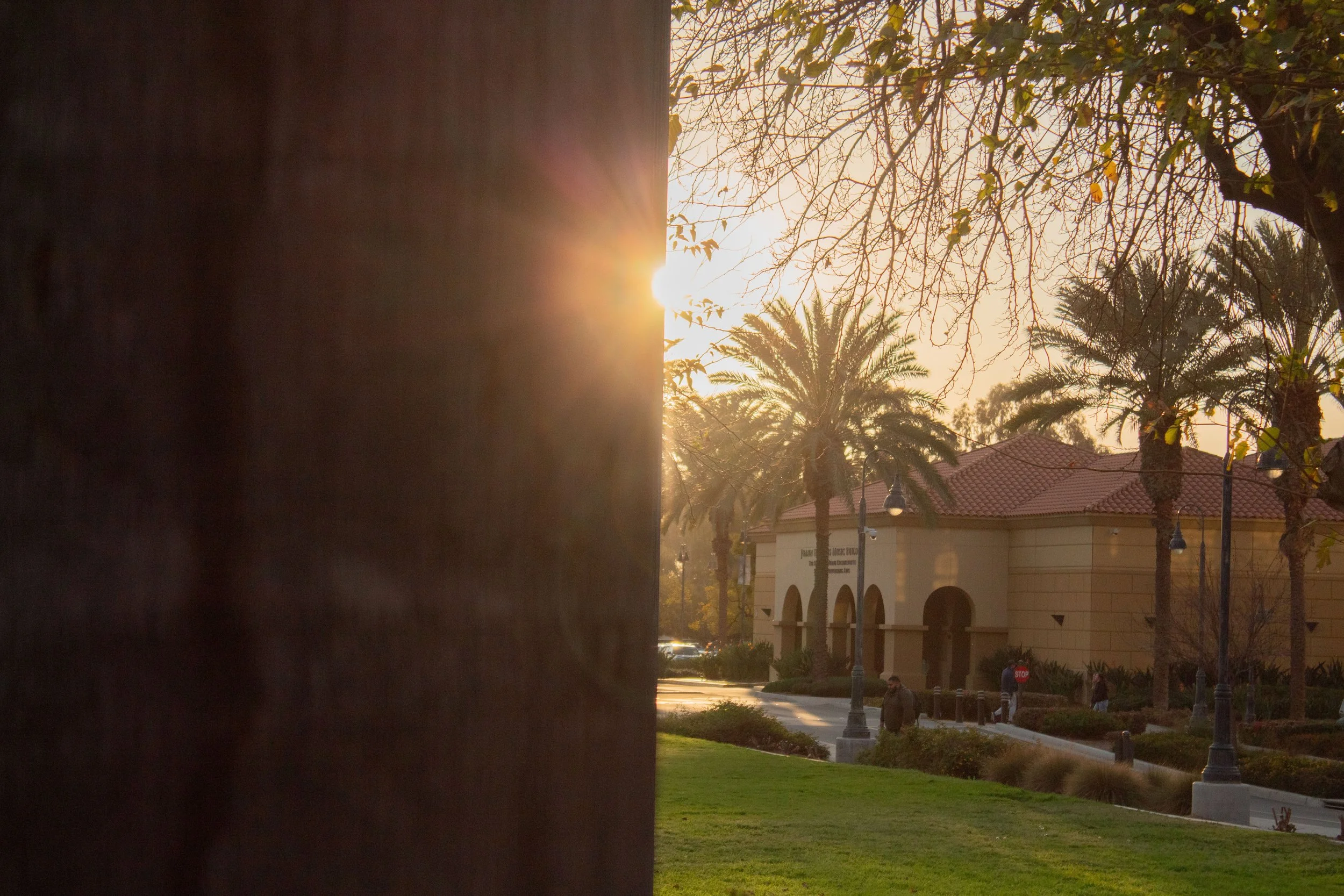 Sunset casting light over a park with palm trees, a building with arches, and street lamps.