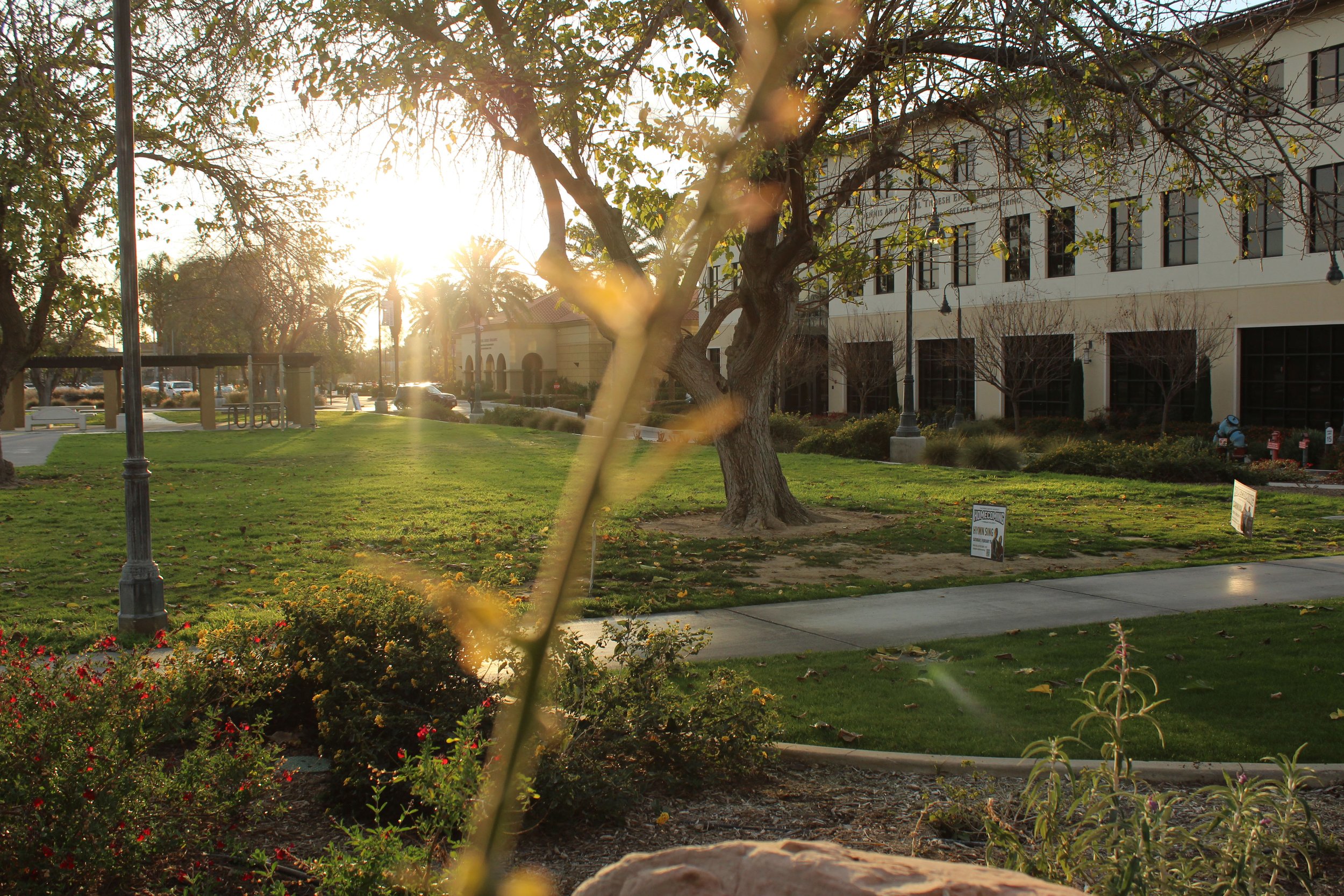 Sunset view of a park with trees, grass, sidewalk, benches, and a large white building in the background.