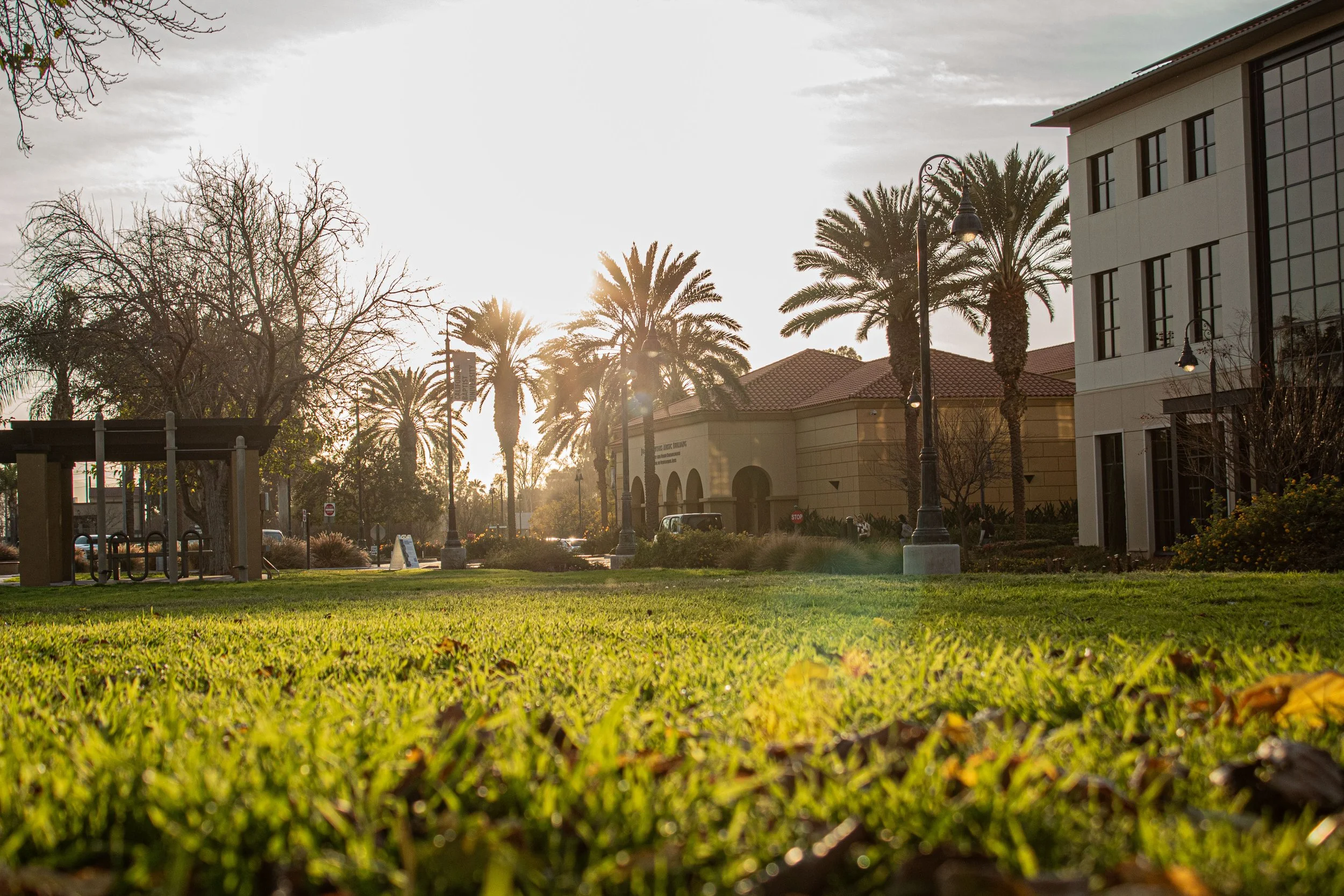 A grassy park area with palm trees, benches, street lamps, and buildings in the background during sunset.
