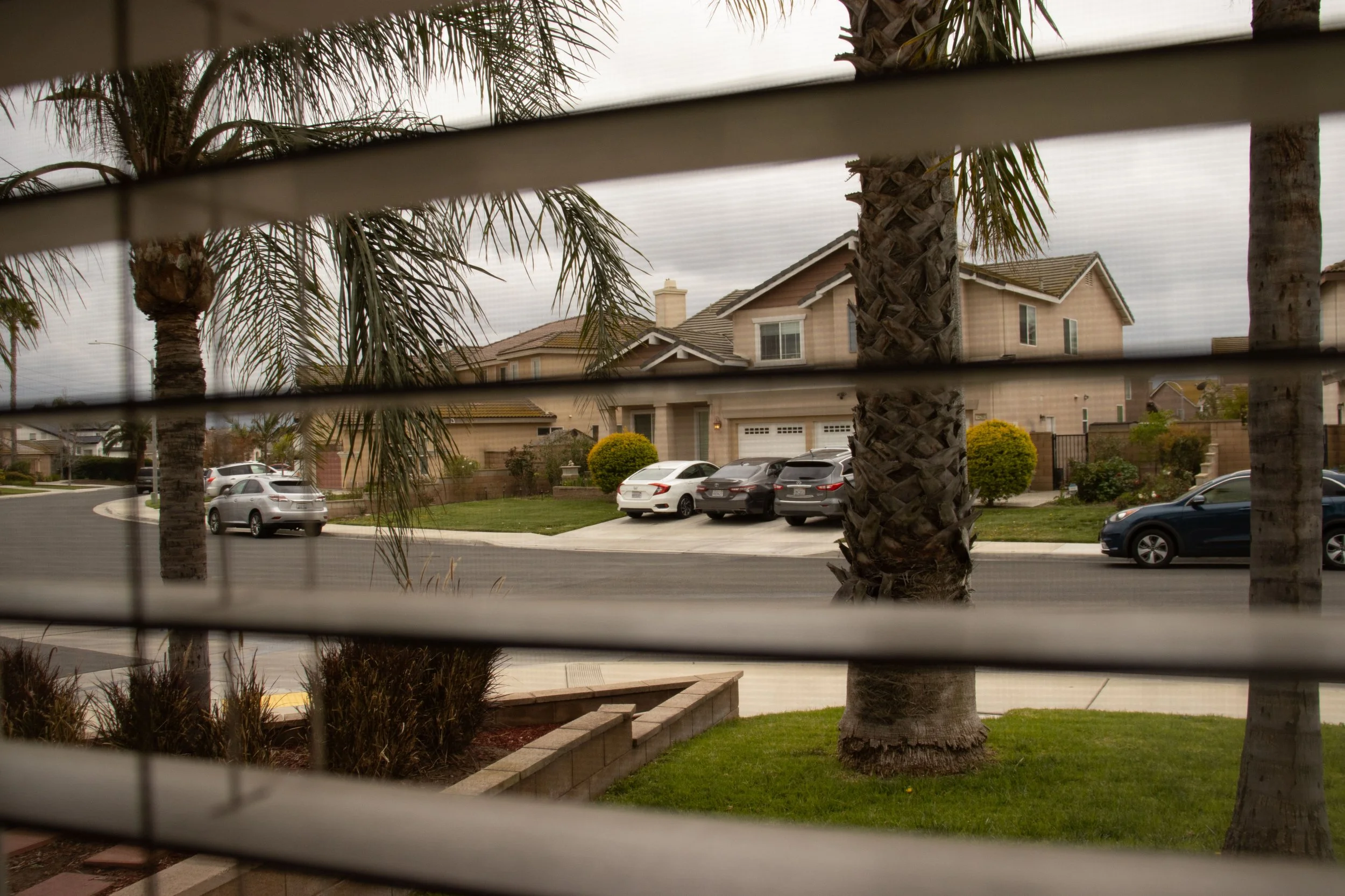 View of a suburban neighborhood street with palm trees, houses, parked cars, and a cloudy sky, seen through horizontal window blinds.