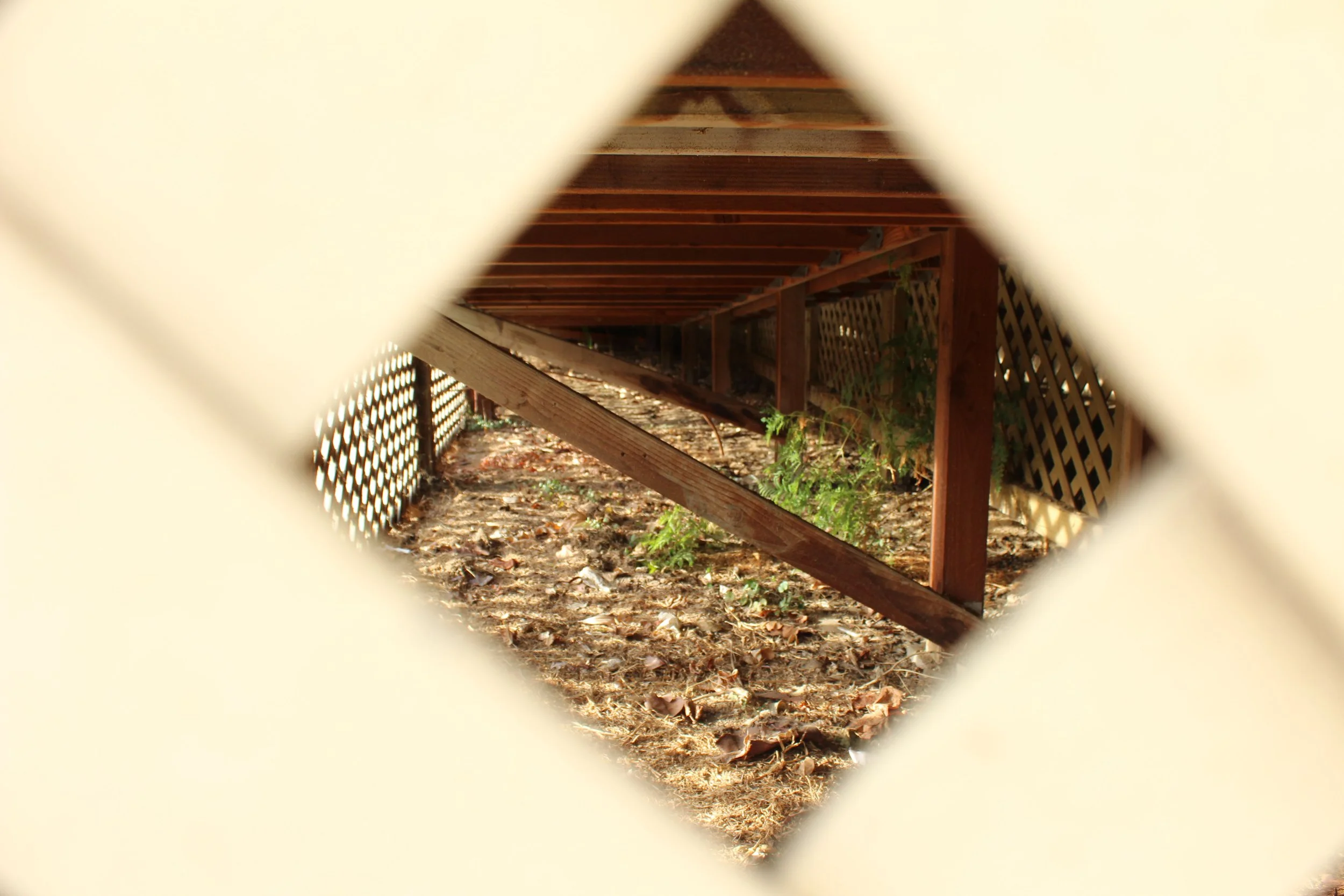 View of the ground beneath a wooden deck, seen through a small square opening in a white lattice fence, with fallen leaves and small plants.