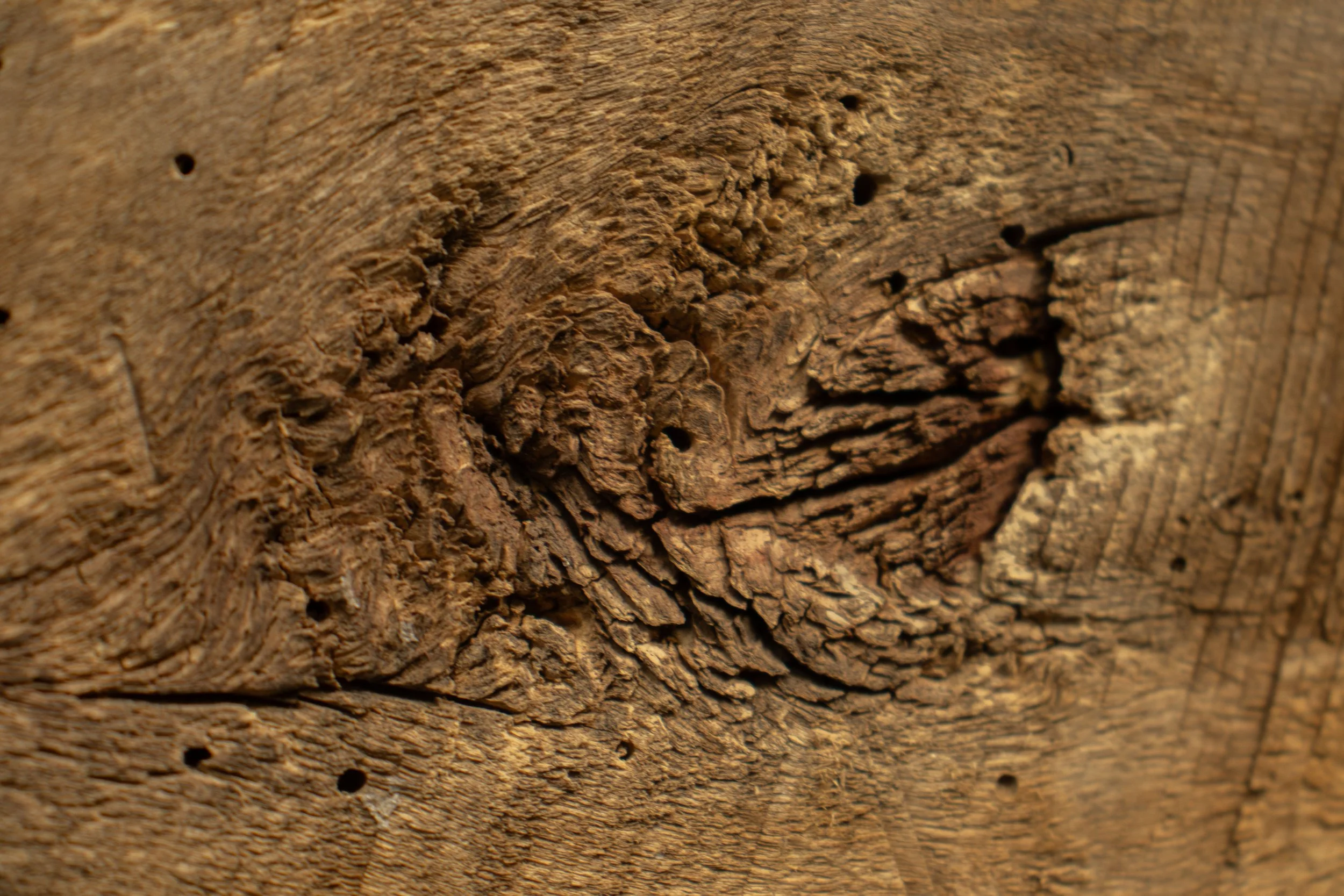 Close-up of a weathered, textured wooden surface with knots and cracks.
