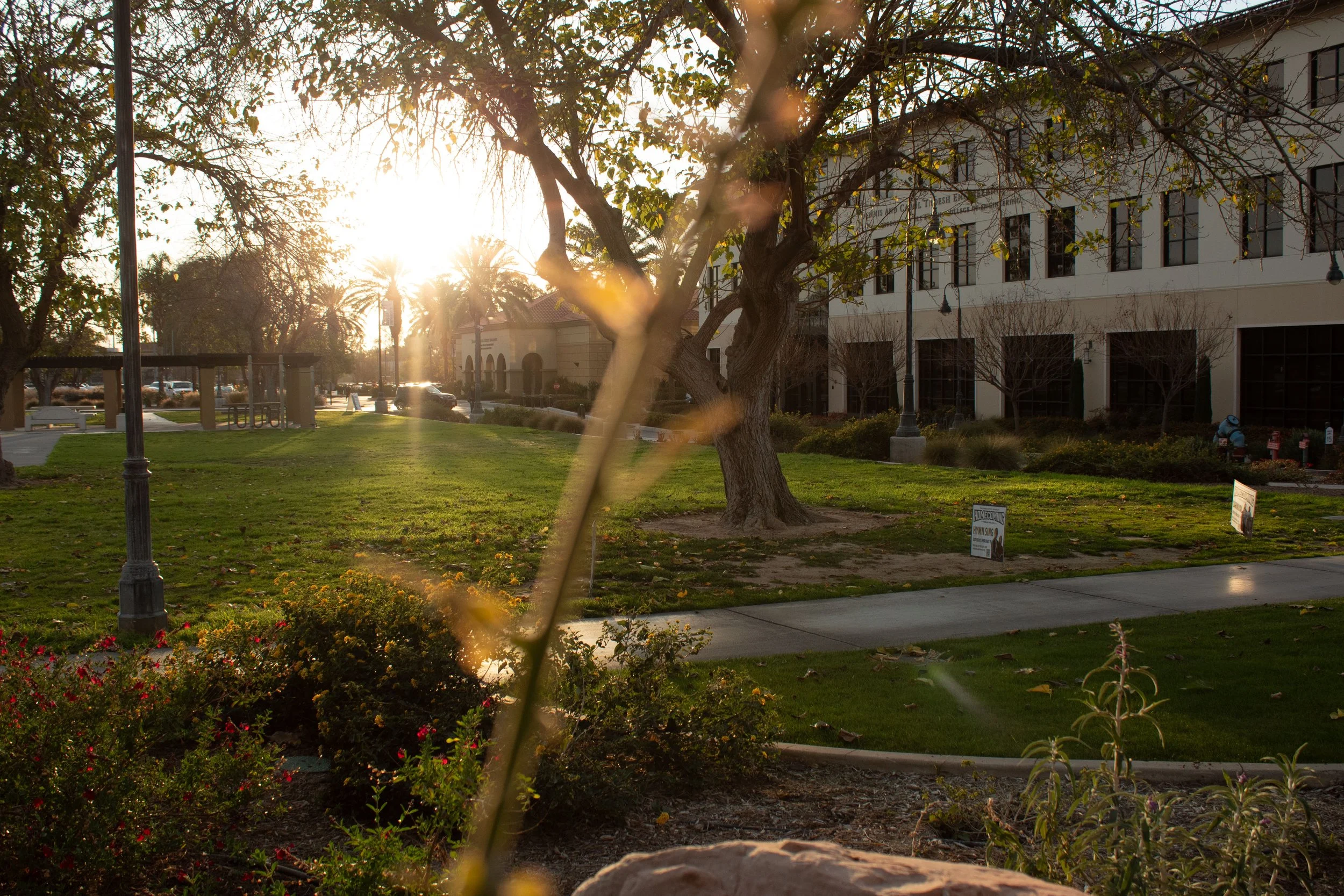 A park scene during sunset with trees, grass, and a sidewalk, with a building in the background.