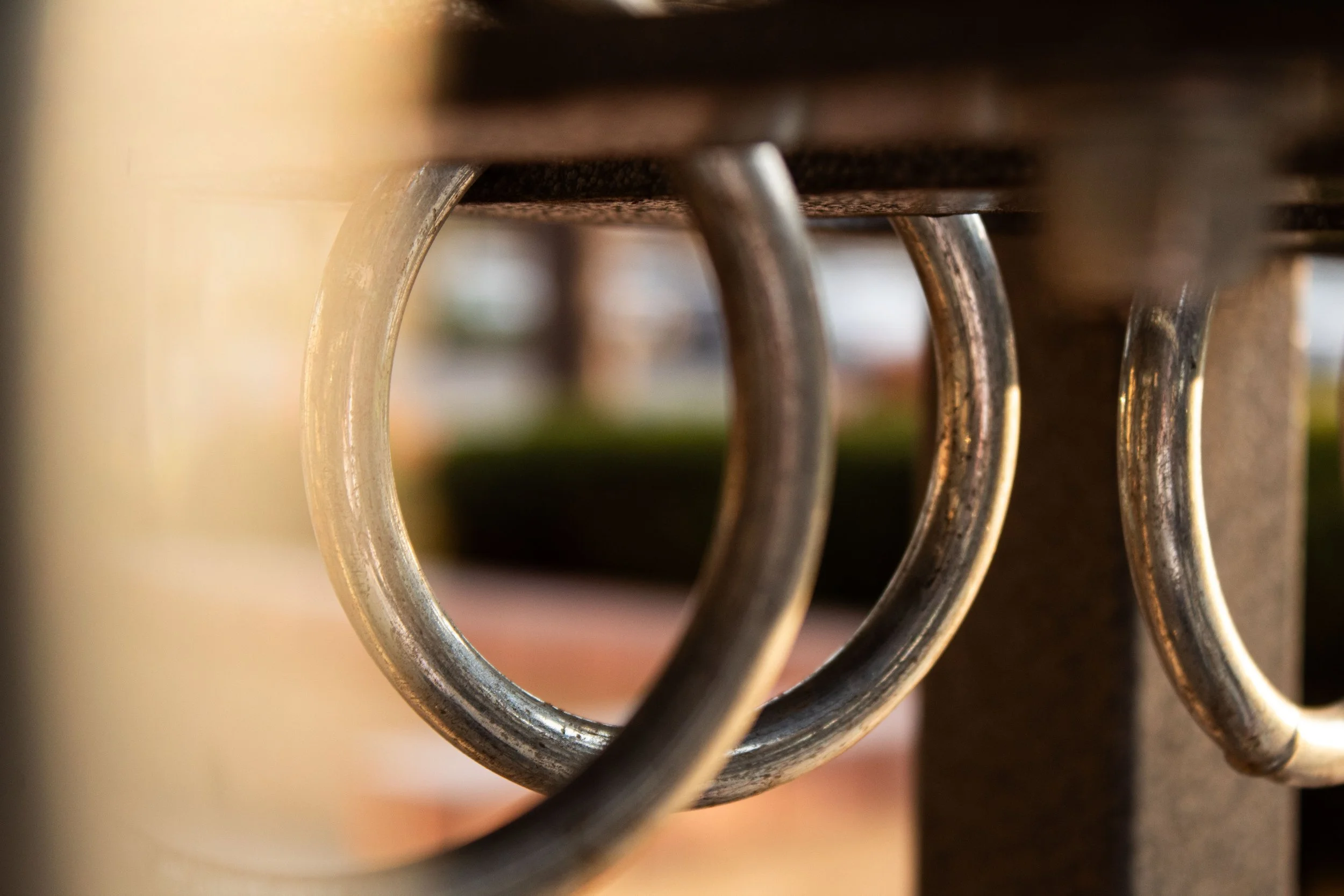 Close-up of metal handrails on a park bench, showing their curved form and texture.