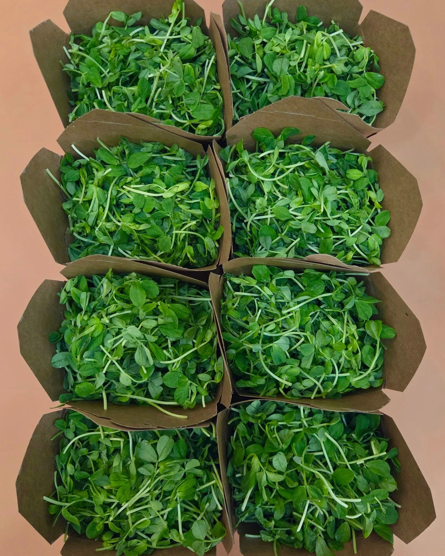 Mon Salad